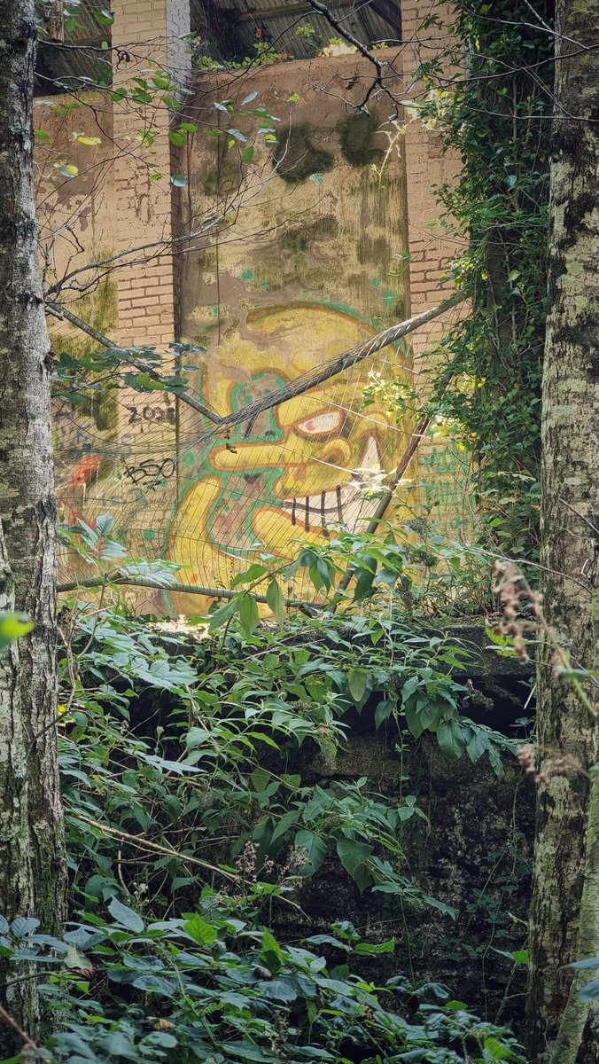 Be4ch's tweet image. The Bad Moon rising along the Camel Trail in Cornwall.

#gloomspitegitz #badmoon