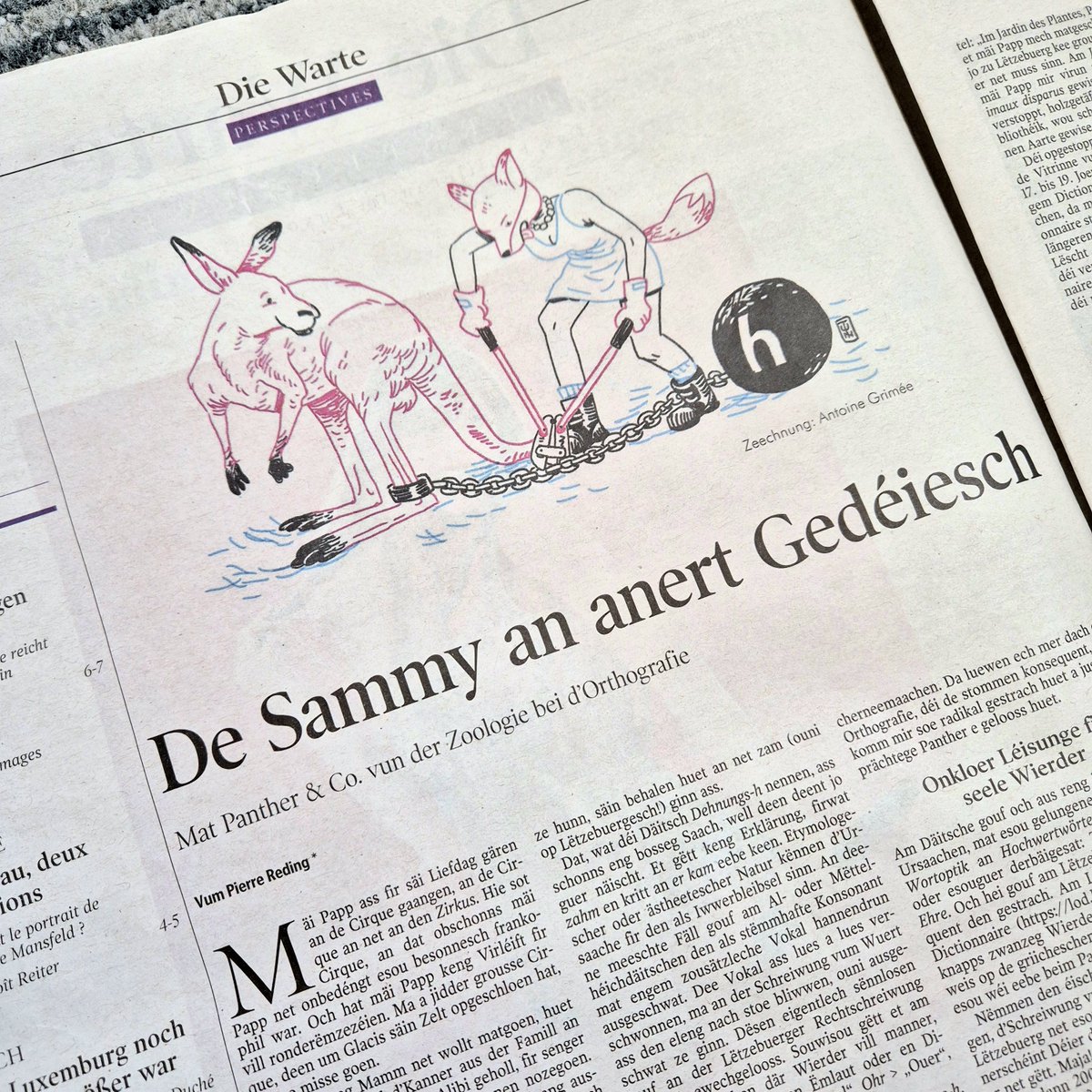 Zenter fir d'Lëtzebuerger Sprooch (@den_zls) on Twitter photo „De Sammy an anert Gedéiesch. Mat Panther & Co. vun der Zoologie bei d’Orthografie“🐈⬛🔡✅ : Dat ass den Titel vum Warteartikel am <a href="/Wort_LU/">Luxemburger Wort</a> vum Pierre Reding, dem Commissaire fir d’Lëtzebuerger Sprooch an Interimsdirekter vum ZLS. Vill Spaass bei der Lektür! 🗞 😊 „De Sammy an anert Gedéiesch. Mat Panther & Co. vun der Zoologie bei d’Orthografie“🐈⬛🔡✅ : Dat ass den Titel vum Warteartikel am <a href="/Wort_LU/">Luxemburger Wort</a> vum Pierre Reding, dem Commissaire fir d’Lëtzebuerger Sprooch an Interimsdirekter vum ZLS. Vill Spaass bei der Lektür! 🗞 😊