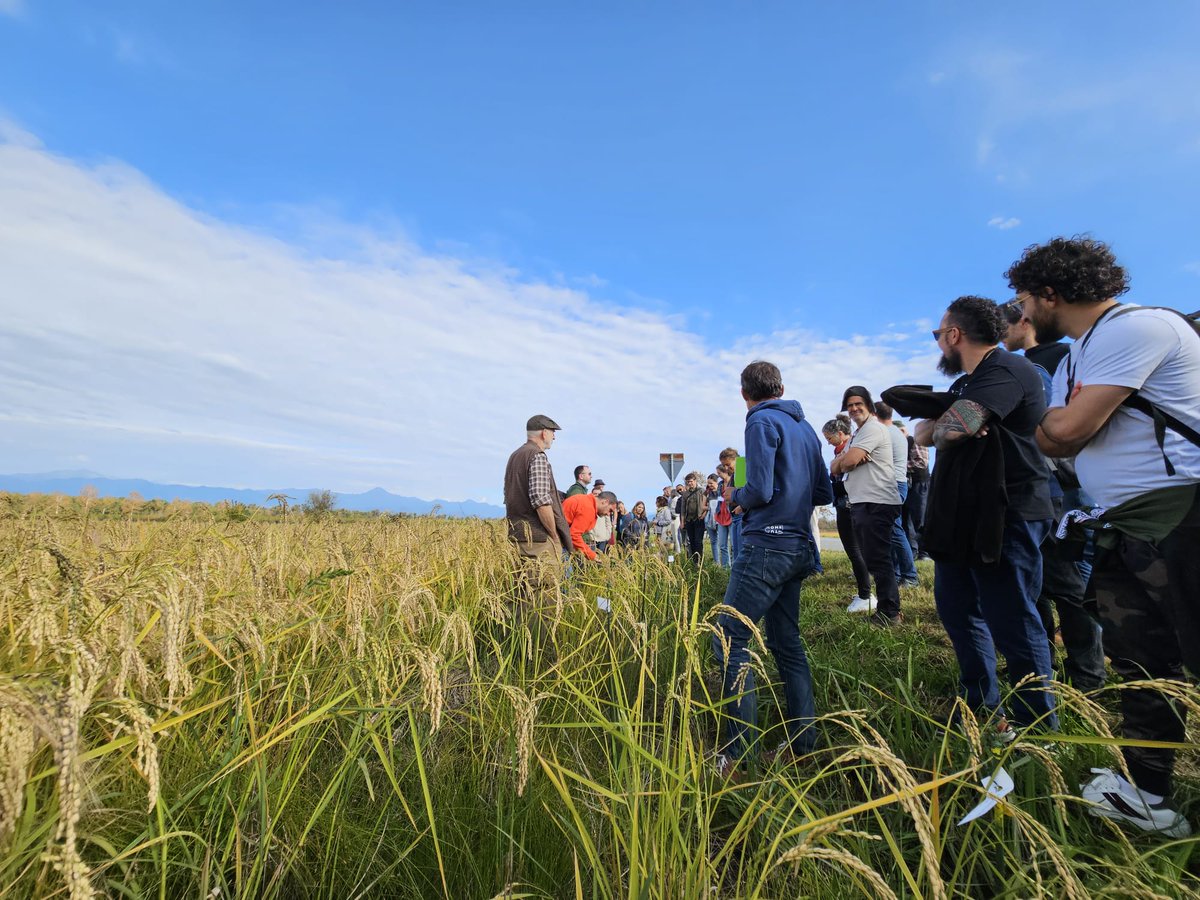 European Coordination Let's Liberate Diversity! tweet media