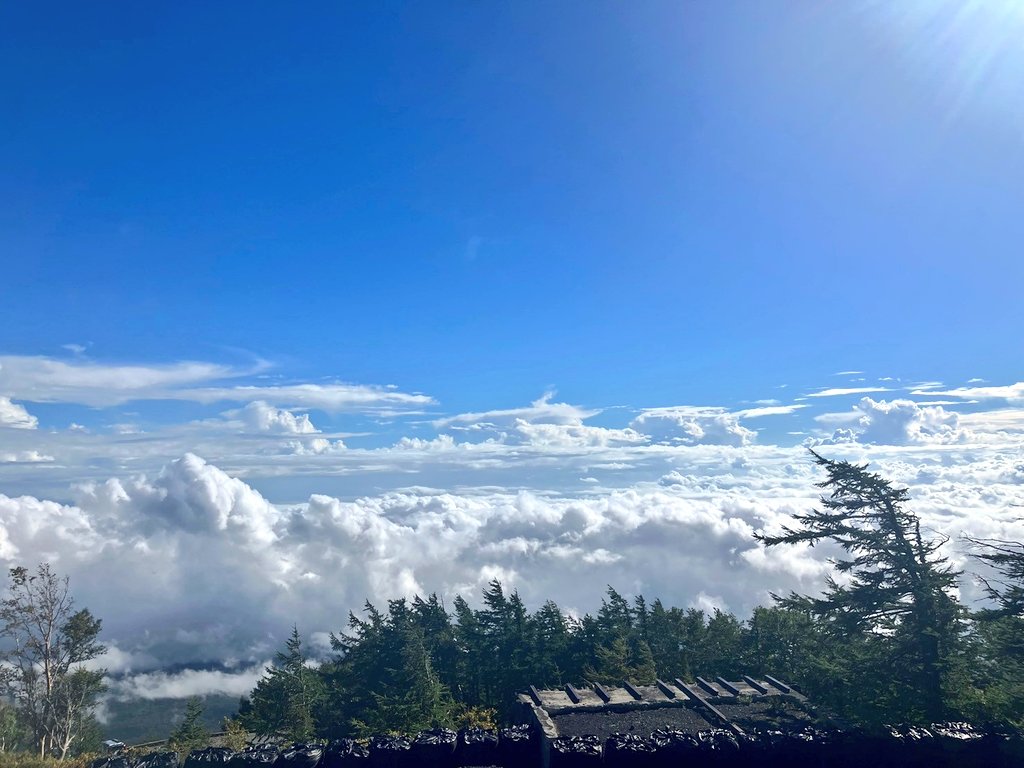 make_kinger's tweet image. 静岡！🗻