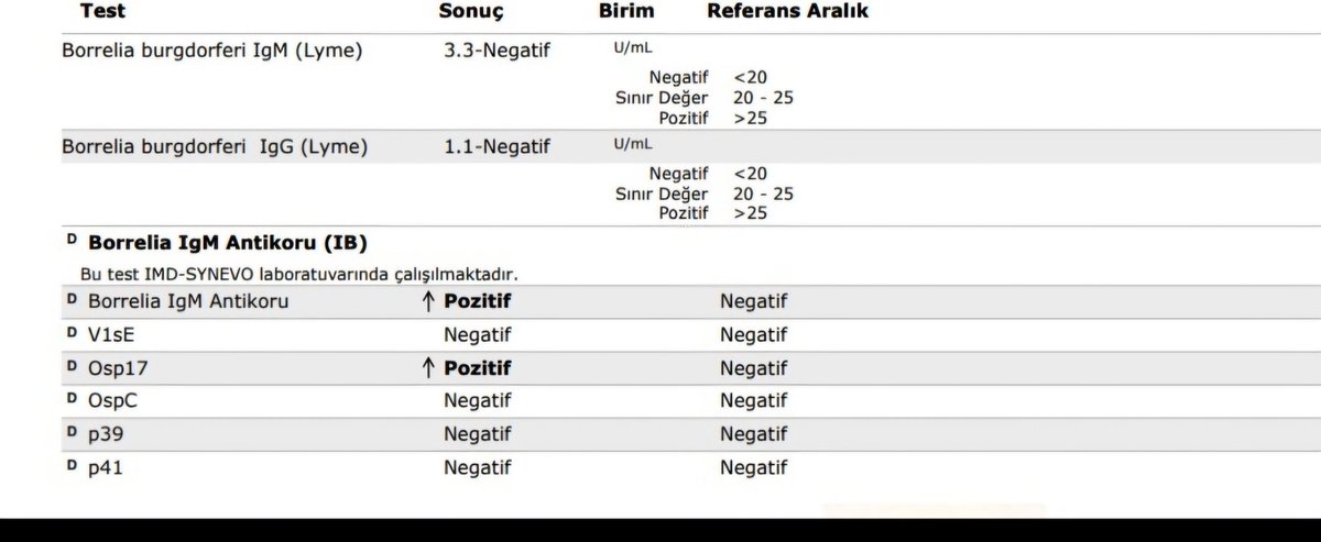 Muhterem Türk milleti 
Bu tweeti sağır sultana duyurunuz 

Gencecik bir kızı MS diye perişan edeceklerdi. Uzun süredir MS tedavisi alıyordu. Bana ulaştılar ve şu testleri istedim

Burada ELISA testleri negatif ama Immunblot testine bakın POZİTİF 
Peki niye böyle?

Çünkü Elisa