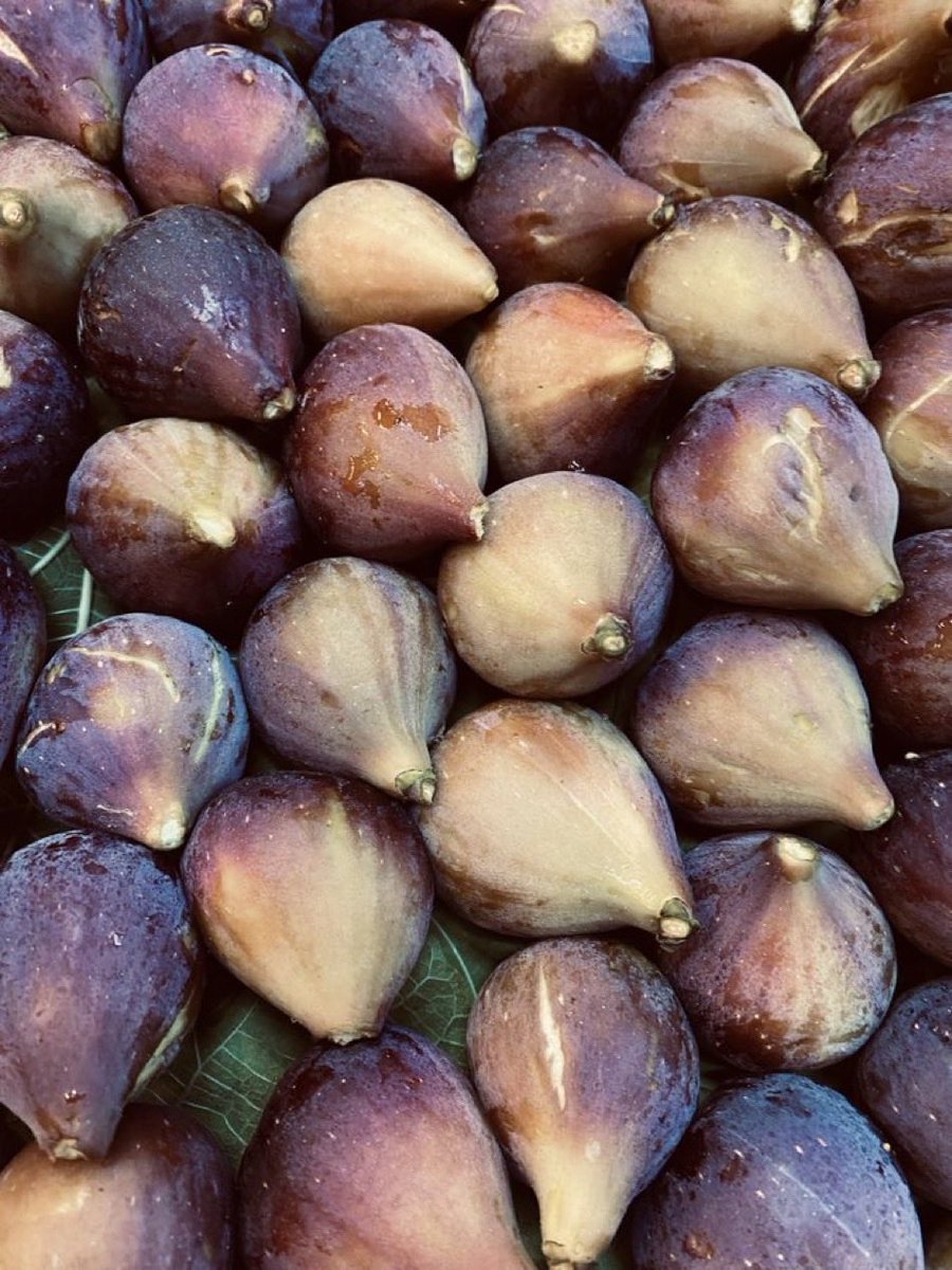 cgulcan07's tweet photo. #üzüm 🍇 #grape #traube
#incir #feige
#patlıcan 🍆 #Aubergine
😋🙏💐 https://t.co/n8vmebQPTr