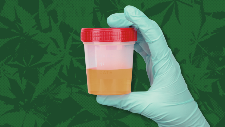 SystemsElevated's tweet photo. Senate Committee Approves Measure To End Consideration of Past Cannabis Use for Federal Jobs and Security Clearances https://t.co/Ovby4wPrUu https://t.co/B9qSY3a4BG