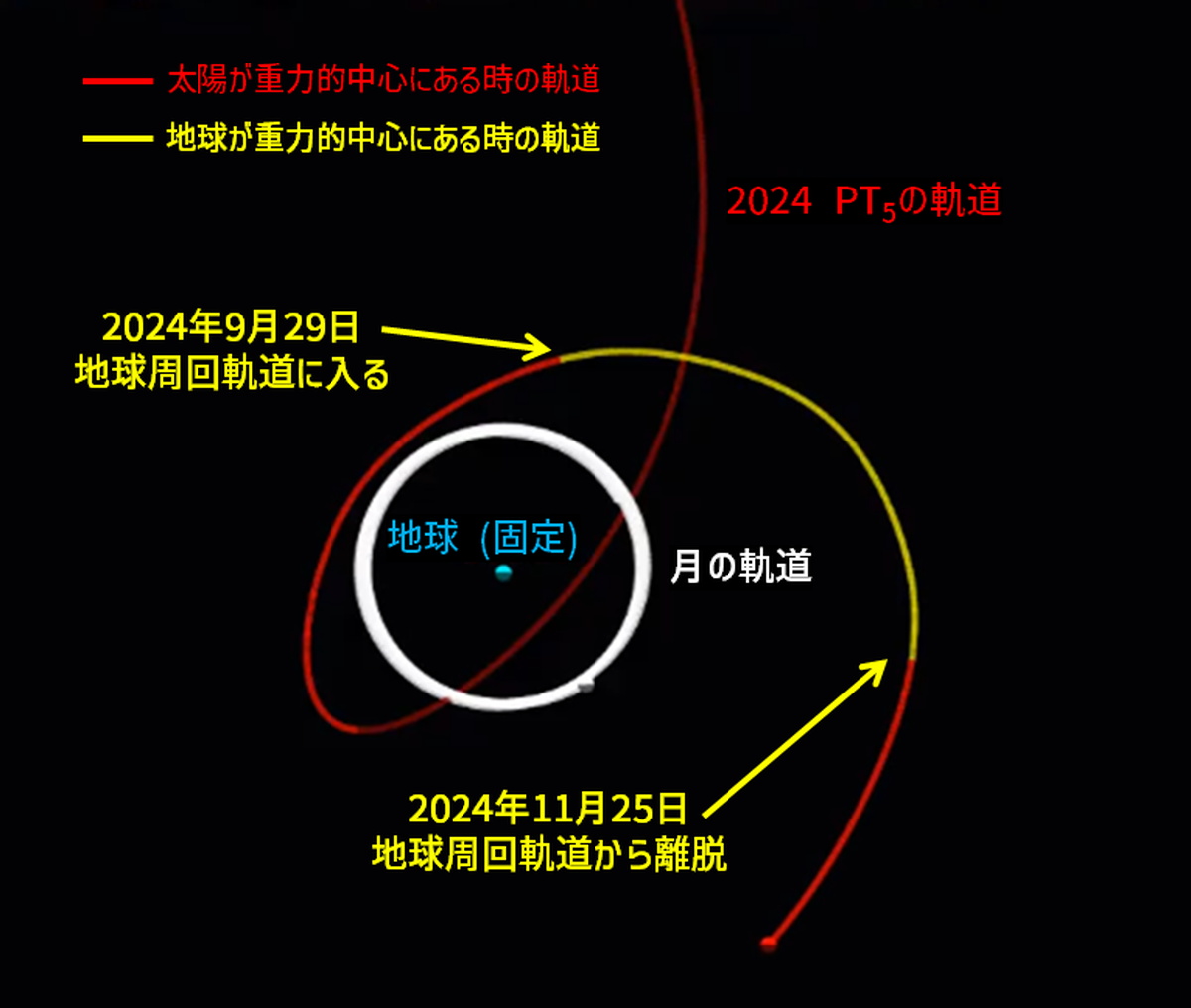 小惑星「2024 PT5」2024年9月末から2か月限定で “第2の月” になると判明
sorae.info/astronomy/2024…

研究チームは、見つかったばかりの小惑星「2024 PT5」の公転軌道を解析したところ、同年9月29日から11月25日まで（世界時）、地球の重力に一時的に捕獲される “第2の月” となることを示しました