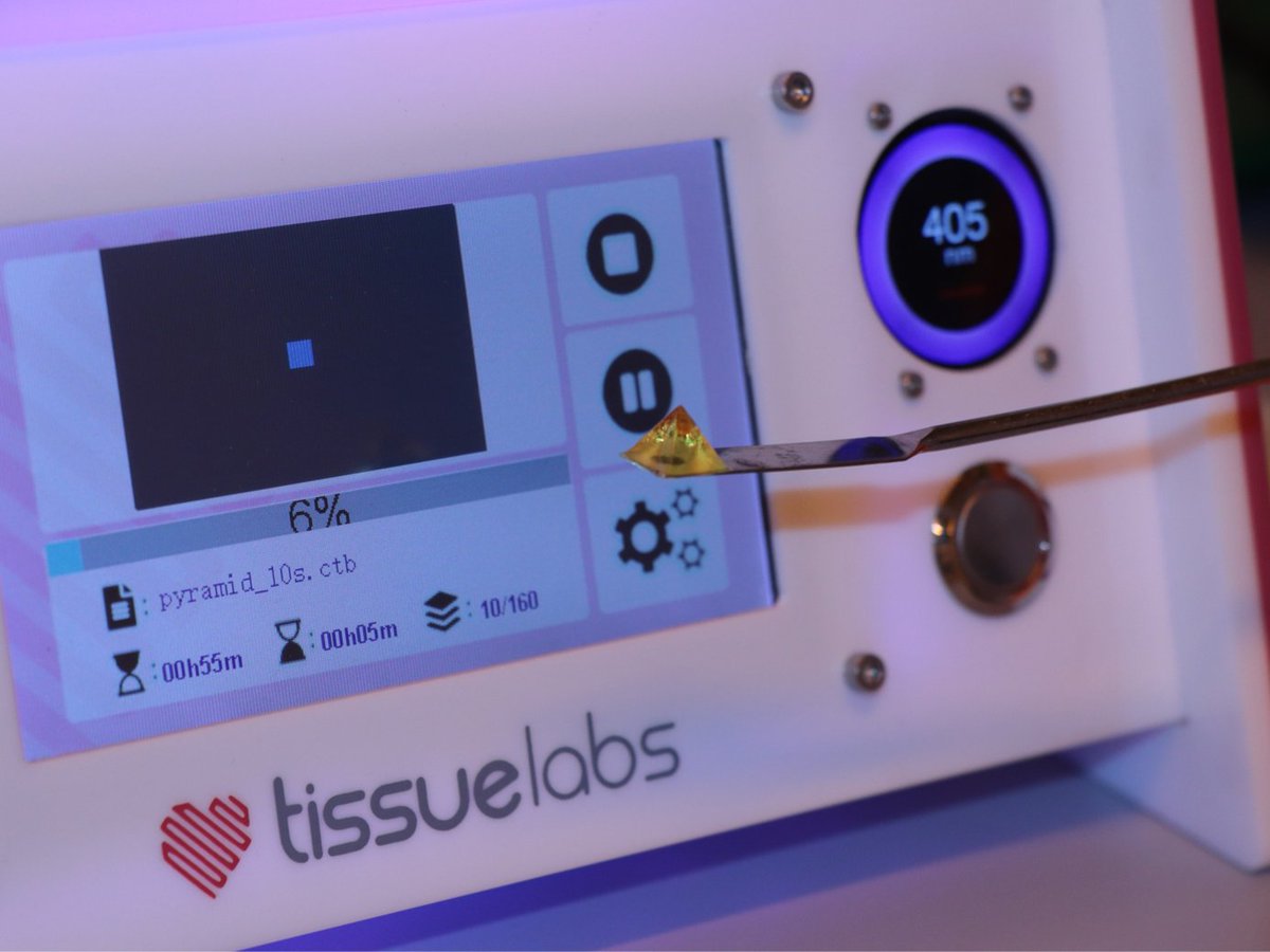 BIO INX (@bio_inx) on Twitter photo We're thrilled to host the <a href="/tissuelabs/">TissueLabs</a> TissueRay printer as part of the INCART3D project with SBMC! We've successfully printed our first structures using DEGRES INX X100, our biodegradable bioresin. 💡 Can't wait to explore more! 'From light to life!' 🦴 #BIOINX #3DBioprinting We're thrilled to host the <a href="/tissuelabs/">TissueLabs</a> TissueRay printer as part of the INCART3D project with SBMC! We've successfully printed our first structures using DEGRES INX X100, our biodegradable bioresin. 💡 Can't wait to explore more! 'From light to life!' 🦴 #BIOINX #3DBioprinting
