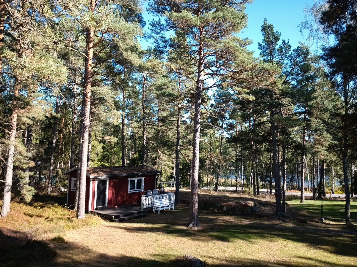 BSoftaofta's tweet photo. #SoftaOfta #morning #Stockholm ✌️💞😇🇸🇪🇪🇺🇺🇦🎵🎹🎶🏴‍☠️🌍💛❤️💙 #SlavaUkraini #Lovemon 💯🌲🍄😍💚🤩🎧☮️🙏 https://t.co/LivR66opiO