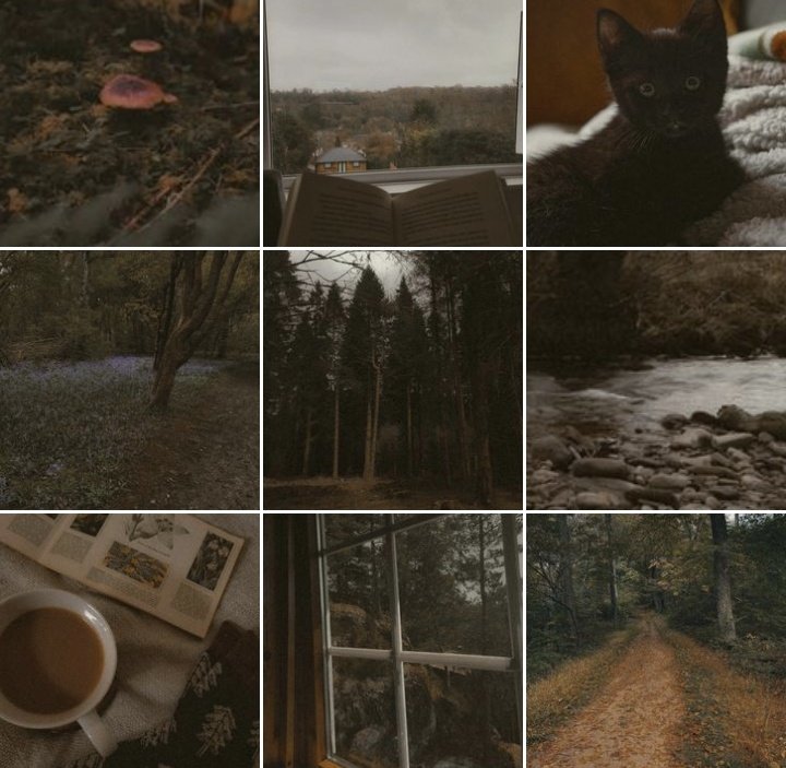 GOBLINC0RE's tweet image. Feel free to follow my cozy autumnal instagram account 🤎
🍂instagram.com/bramblefilm/pr…🍂