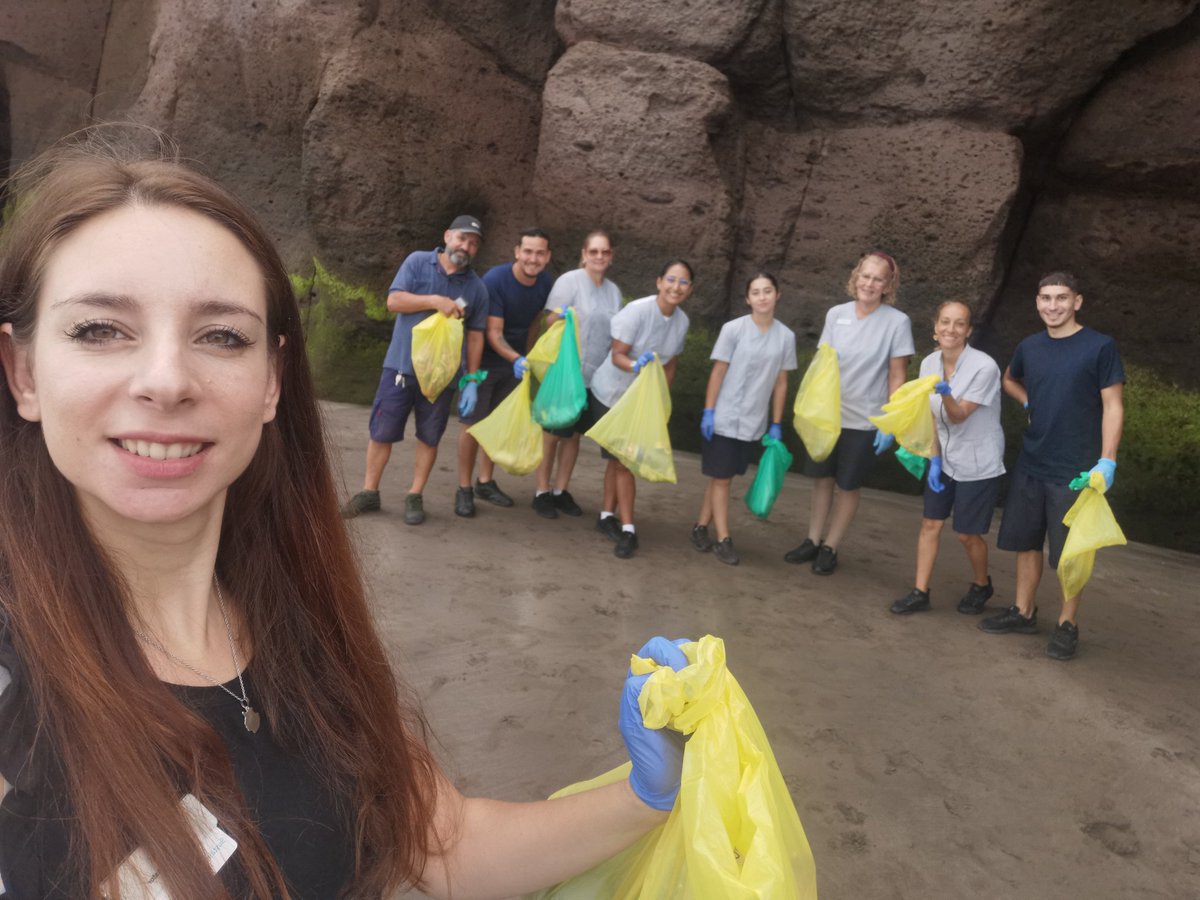 Arianna Arena tweet media