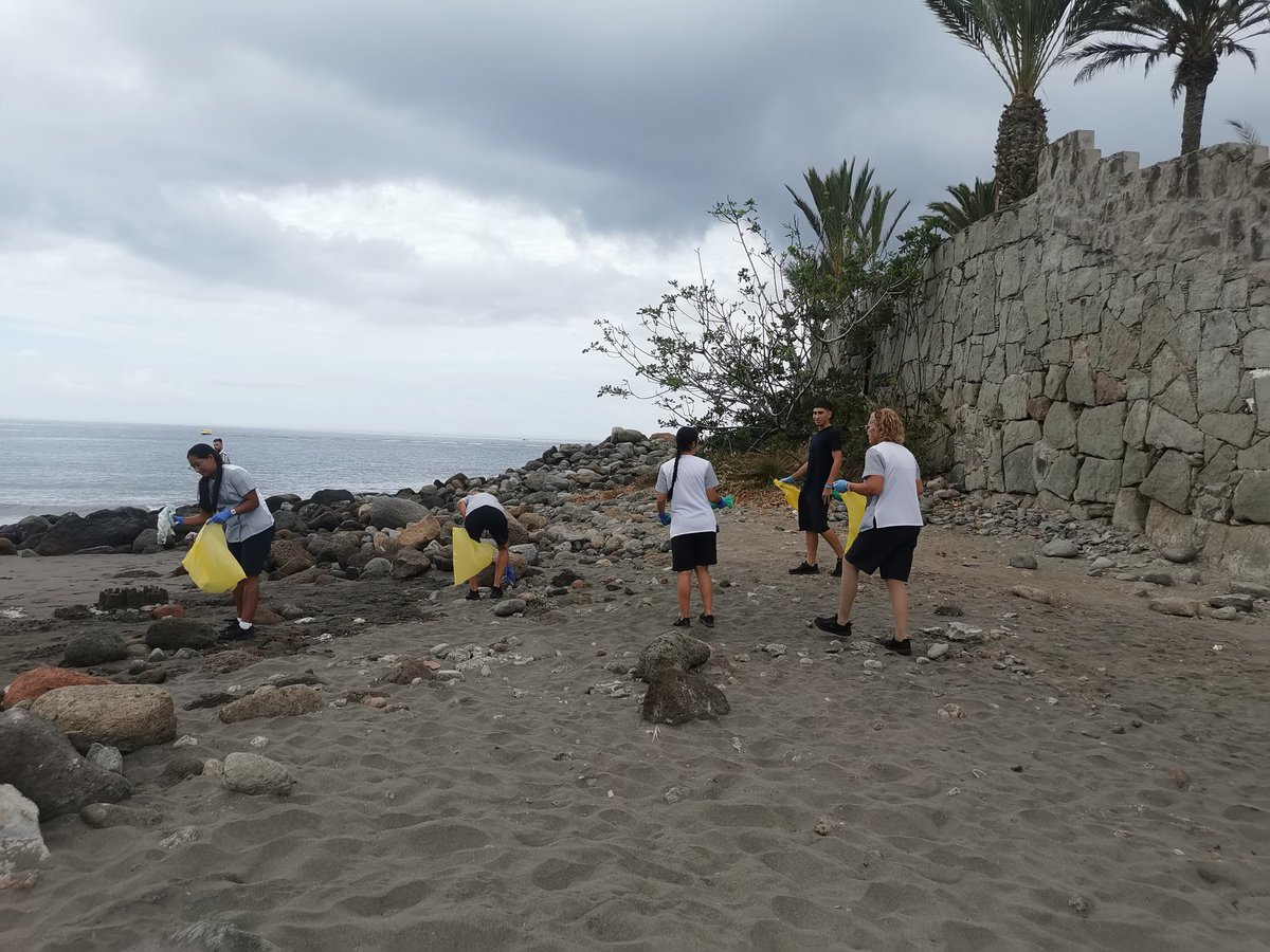 Arianna Arena tweet media