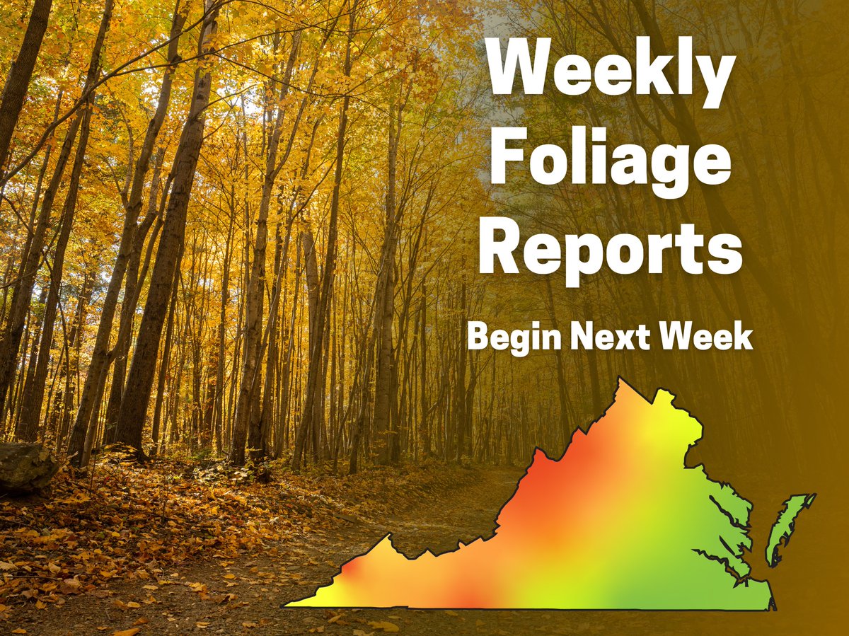 Fall officially begins this Sunday! 🍁🍂 ✨ Many trees are already starting to change into their fall colors. We'll be tracking and reporting foliage conditions statewide starting next week. Follow along on our socials and bookmark our fall foliage page: ow.ly/F15Q50TputV