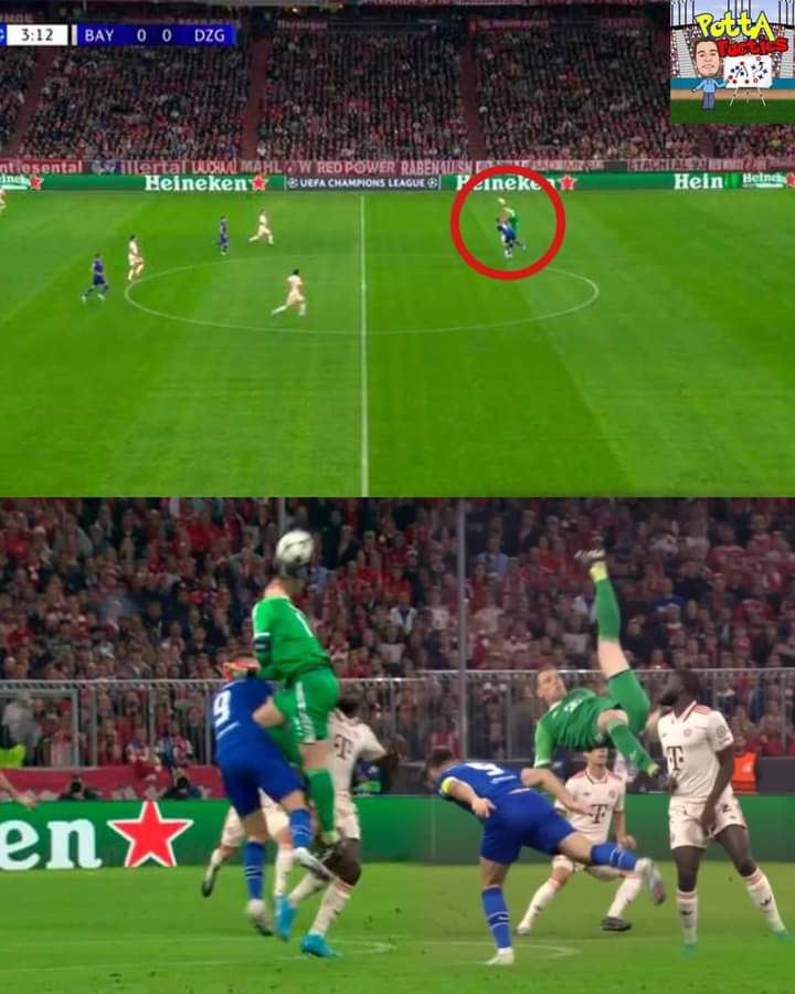SamdamajFR's tweet photo. Il y a encore des gens qui osent dire que @gianluigibuffon est le meilleur gardien de l'histoire. Avec tout mon respect pour le gardien italien, il est énorme dans les 16 mètres mais ce @Manuel_Neuer est LE MEILLEUR dans toute la surface du terrain, The GOAT, THE GK, THE BEST🇩🇪 https://t.co/GxJYvuCaRa