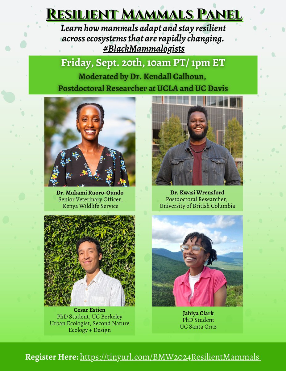 Black Mammalogists Week tweet media