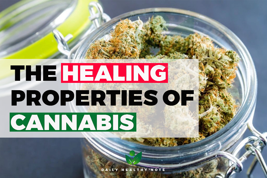 DailyHerbal's tweet photo. The Healing Properties Of #Cannabis
https://t.co/iTQUvMXcpK https://t.co/dQ7BAea93Y