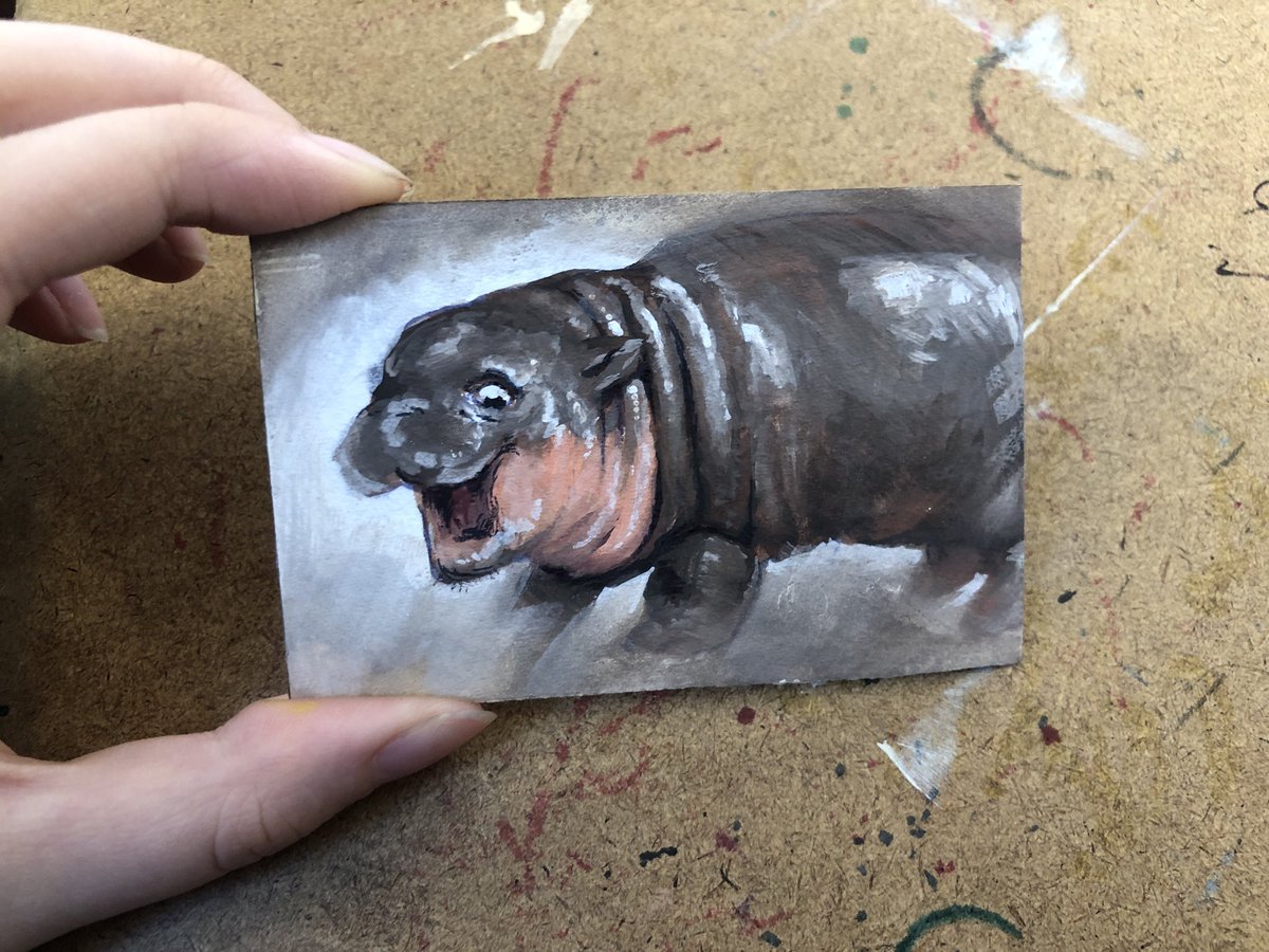 moonslop's tweet image. moo deng in gouache