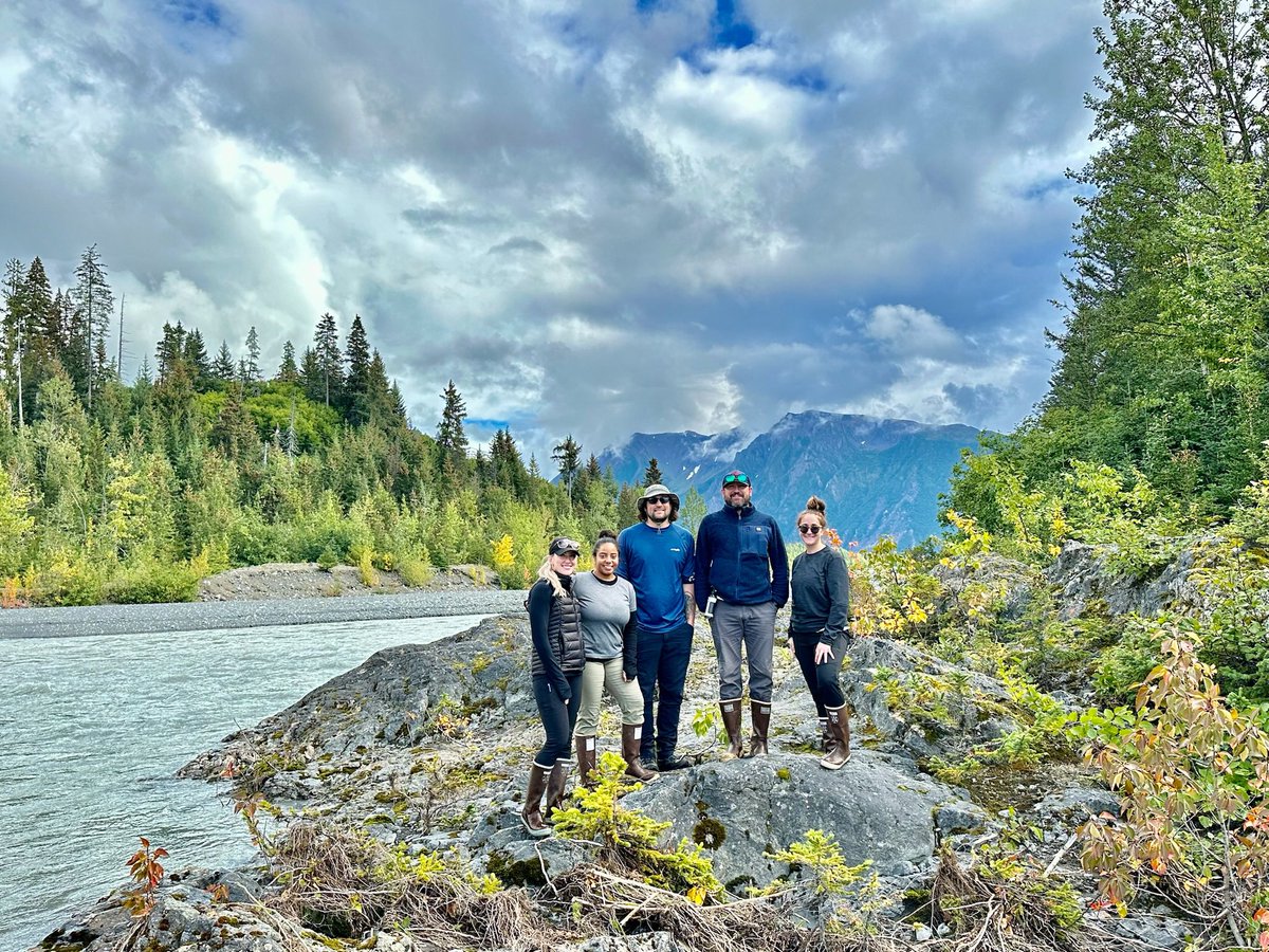 Nielsen Lab tweet media