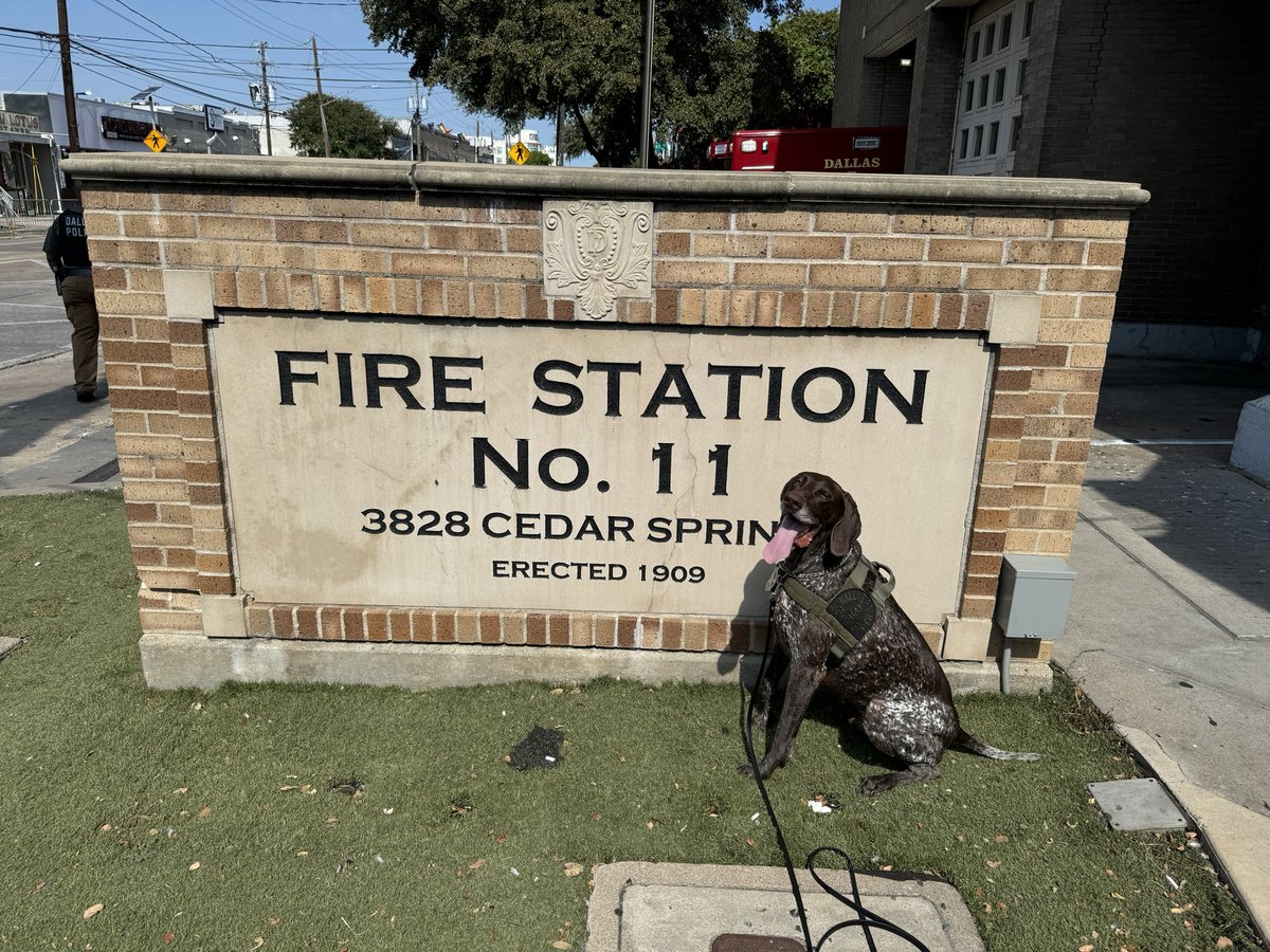 Last weekend, EOD/EDCS was honored to make sure the Pride in Dallas Parade on Cedar Springs was safe! <a href="/DPDK9Apollo/">K9Apollo</a>