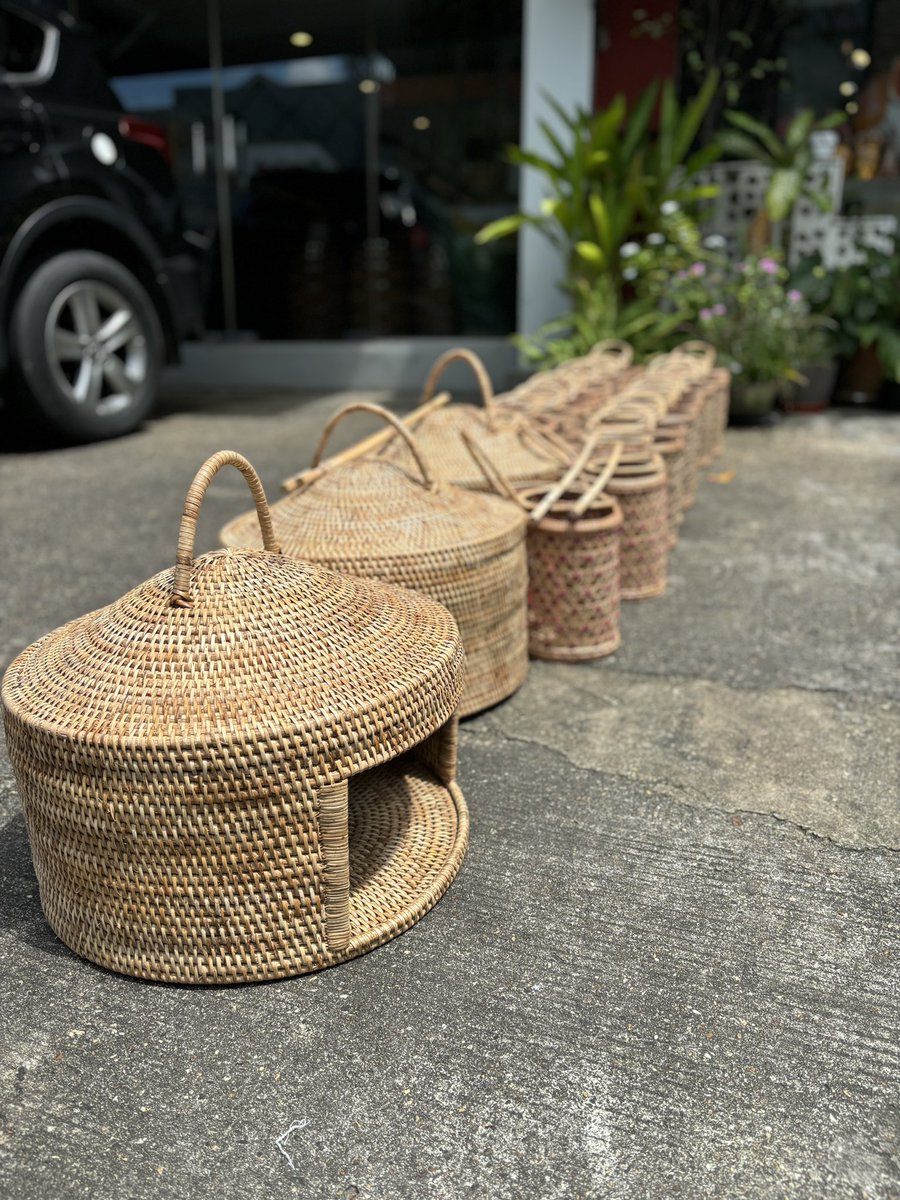 After some time due to various reasons, the cat houses and rattan bags have finally arrived from the artisan’s home in Magwe. They are currently being sun-dried🌤️
