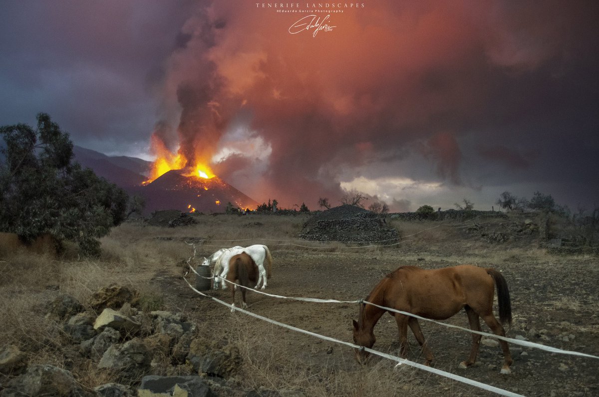 Lava Bombs tweet media