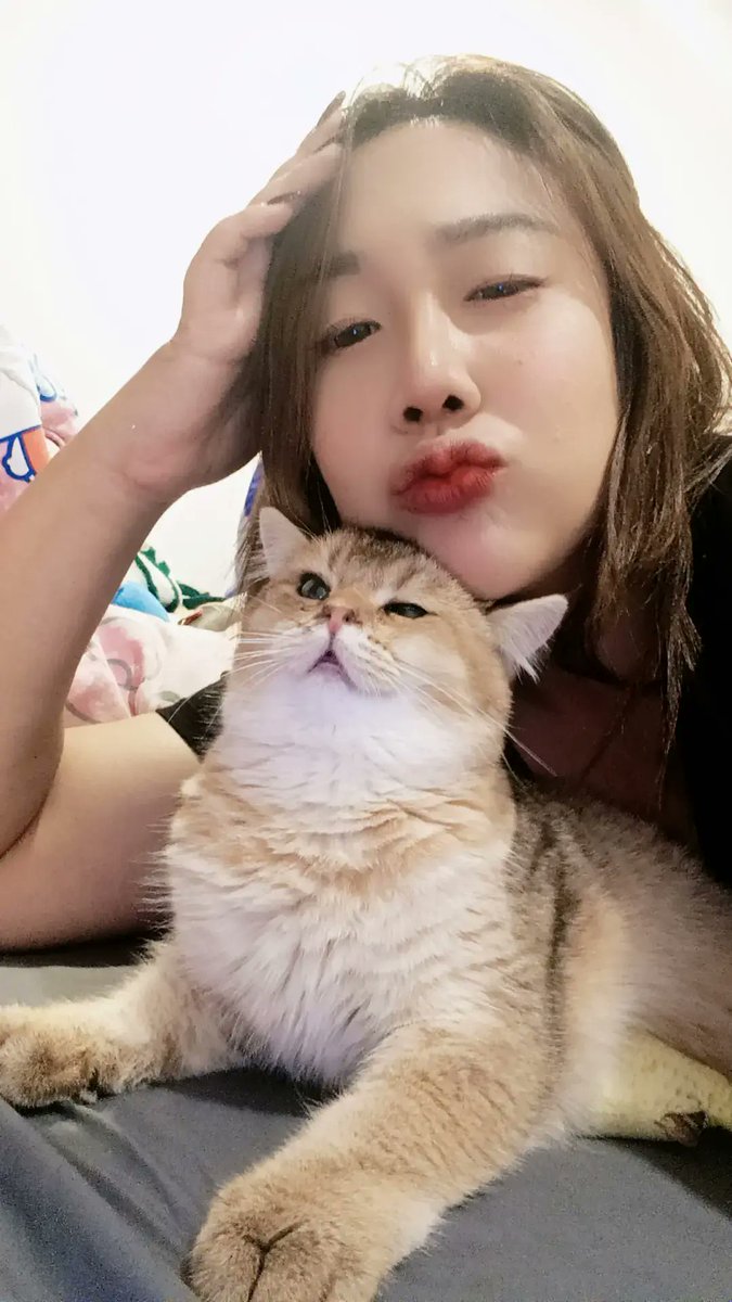 sarelanut's tweet photo. เป็นคนรักสัตว์😻 https://t.co/MQqz4I5spk