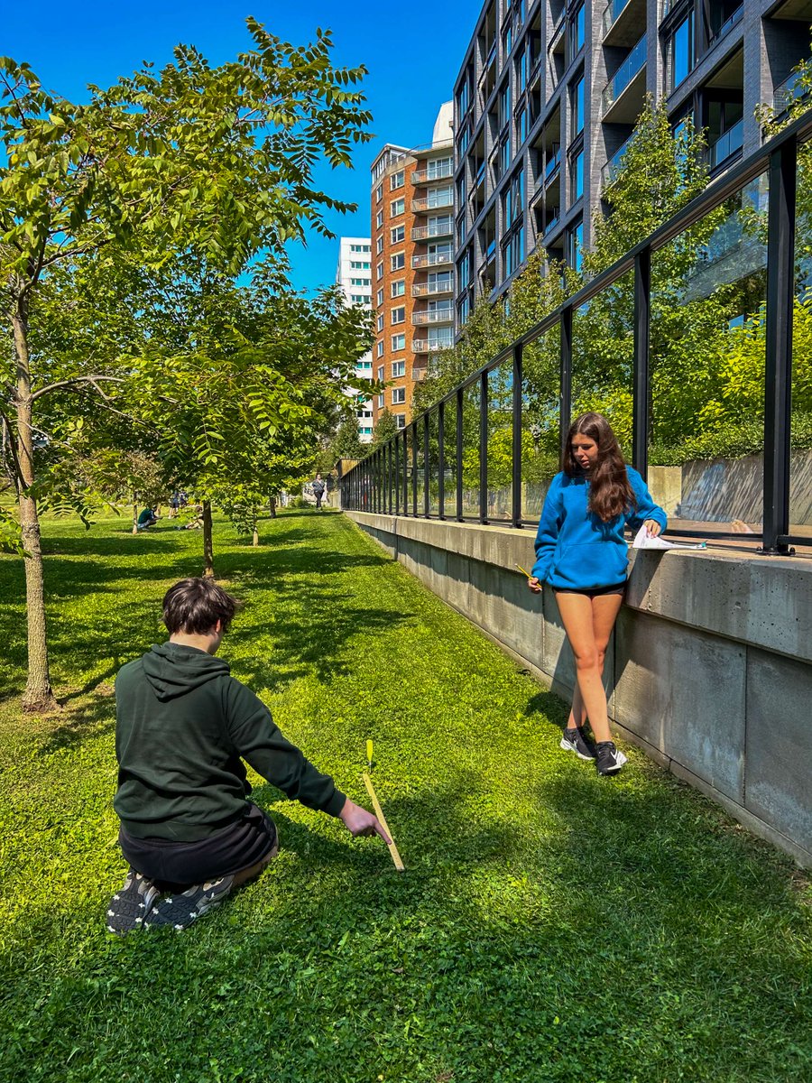 halifaxgrammar's tweet image. Grade 11 Bio students adventured out for some field work to collect transect data for analysis! They are practicing skills for the IB internal assessment investigation.

#HalifaxGrammar #GrammarAcademics #IBScience #Biology