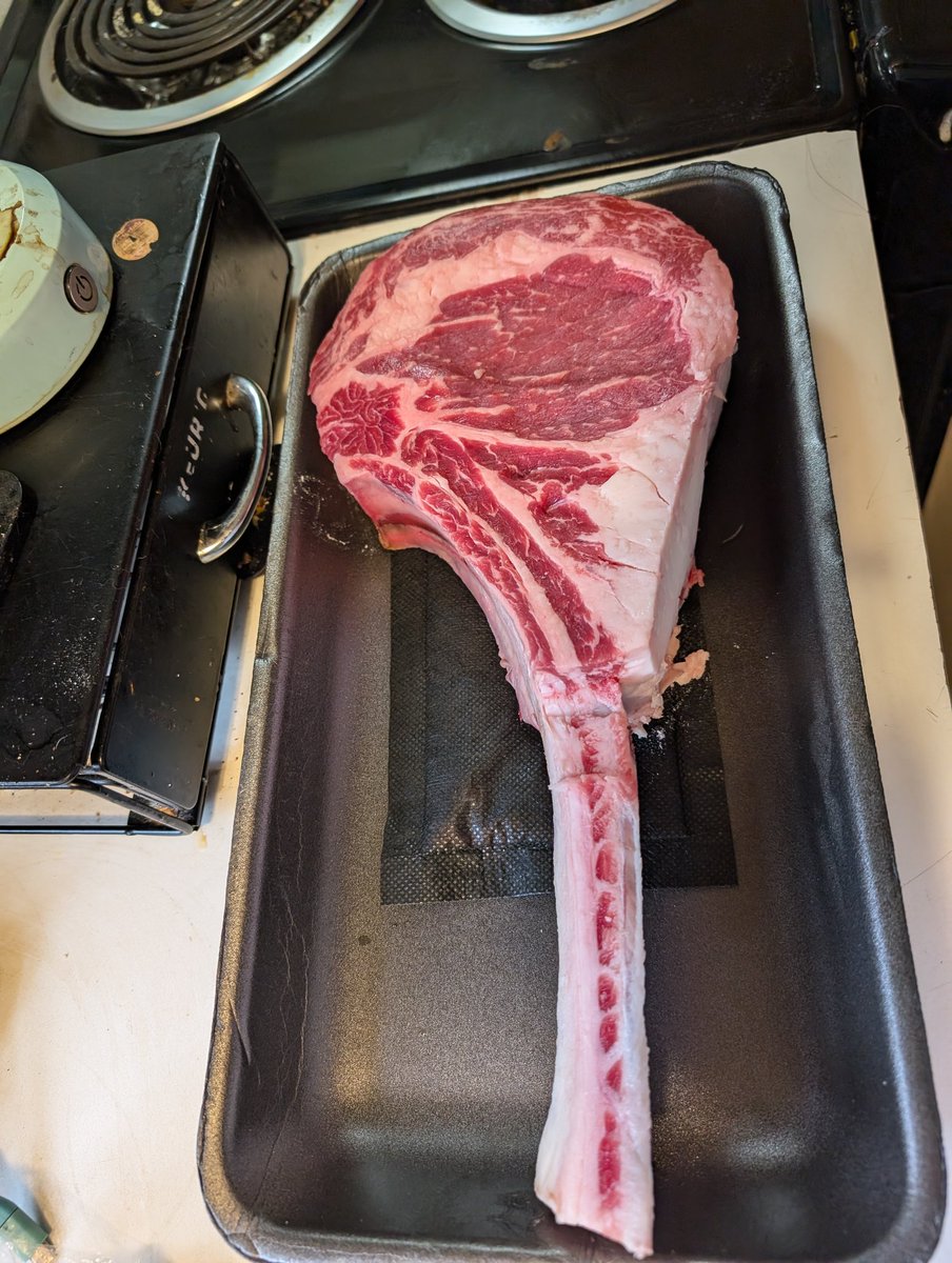 Splatterfactor1's tweet image. 