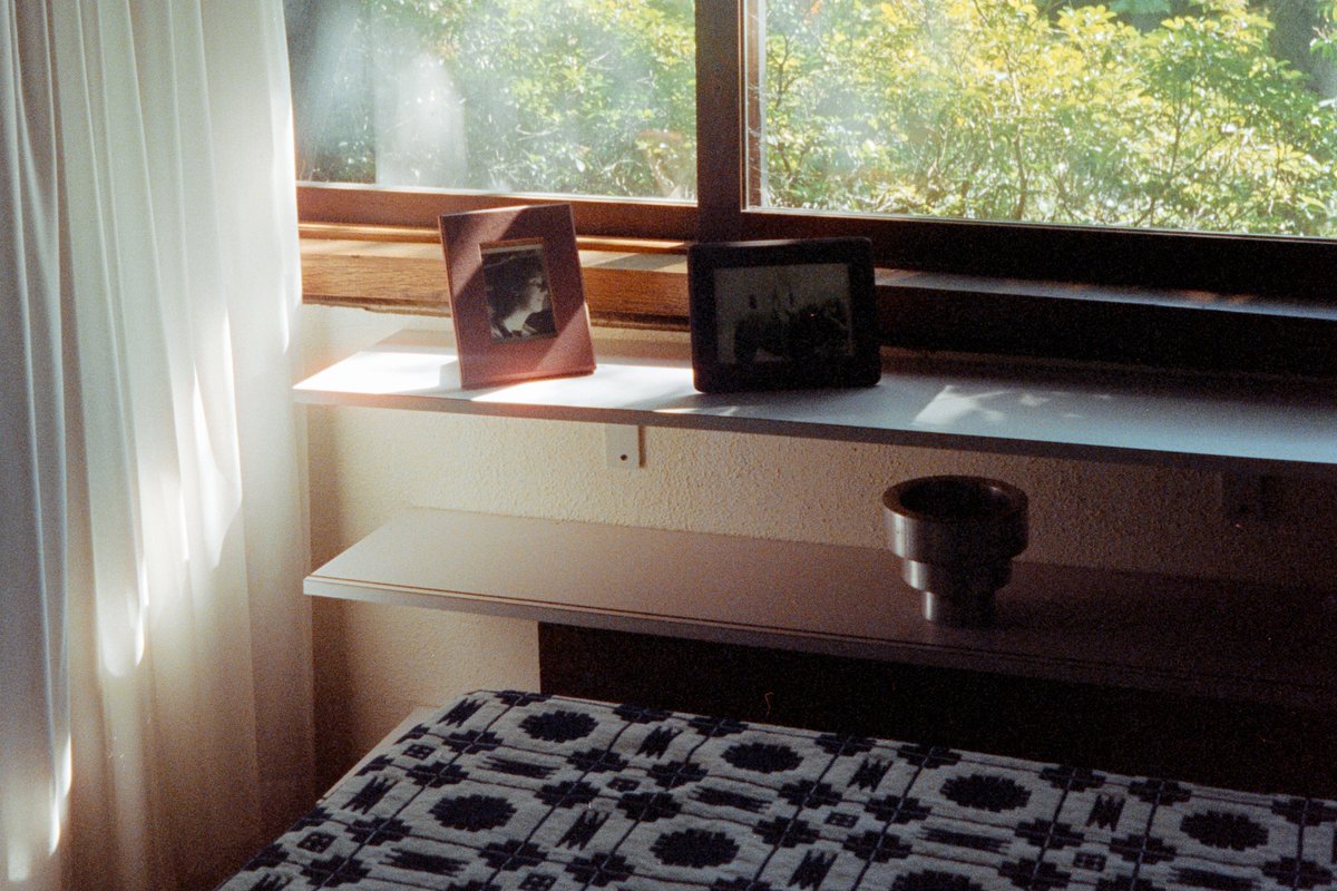 zoeloveshouses's tweet photo. this is a reminder to myself to take more film pictures https://t.co/OqAi7IpluG