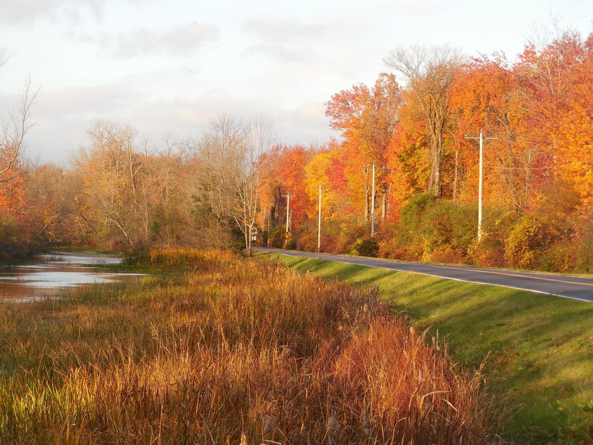MohawkTowpath's tweet image. Experience the beauty of fall on the Byway by participating in the 22nd Mohawk Towpath Duathlon! This 2-mile run, 12-mile bike ride, and 2-mile run route is USA Triathlon sanctioned. Register Now at bit.ly/MTSBDuathlon! #RunBikeRun #CommunityEvent #LoveOurByway #FallFoliage