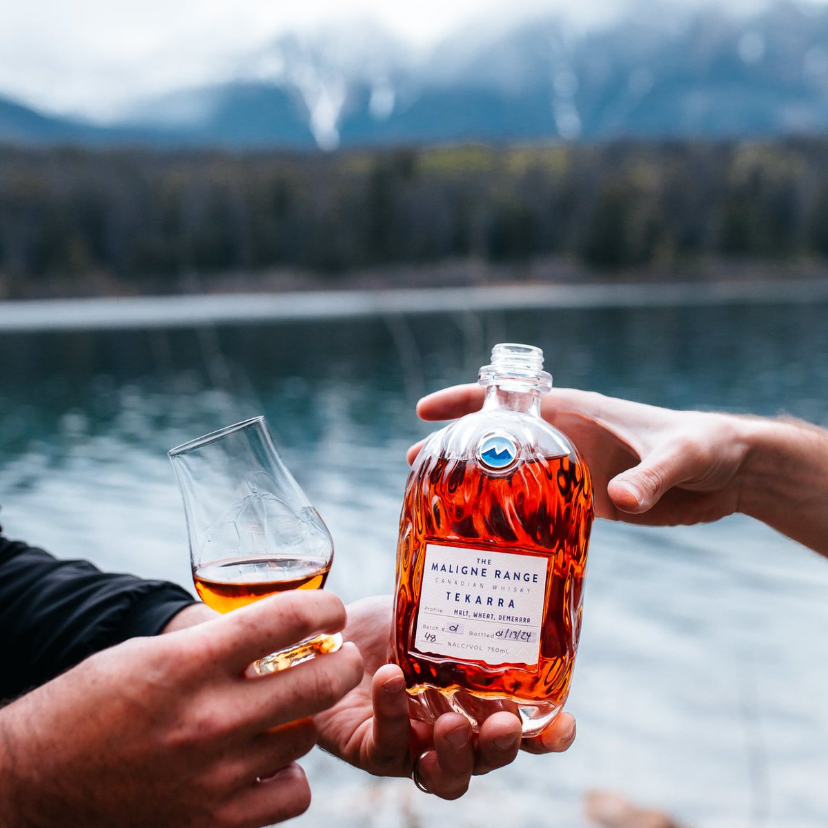 Jasper Brewing Co (@jasperbrewing) on Twitter photo Our sister distillery-pub <a href="/themalignerange/">themalignerange</a> is finally opening its doors today! You may recognize a few familiar faces as some of our team has joined The Maligne Range roster. We hope you come say hello, and celebrate the resiliency and spirit of our beautiful mountain town. Our sister distillery-pub <a href="/themalignerange/">themalignerange</a> is finally opening its doors today! You may recognize a few familiar faces as some of our team has joined The Maligne Range roster. We hope you come say hello, and celebrate the resiliency and spirit of our beautiful mountain town.
