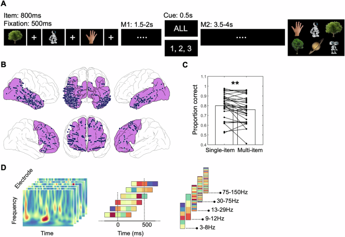 Maintenance and transformation of representational formats during working memory prioritization dlvr.it/TDRc9t v/ @NatureNews