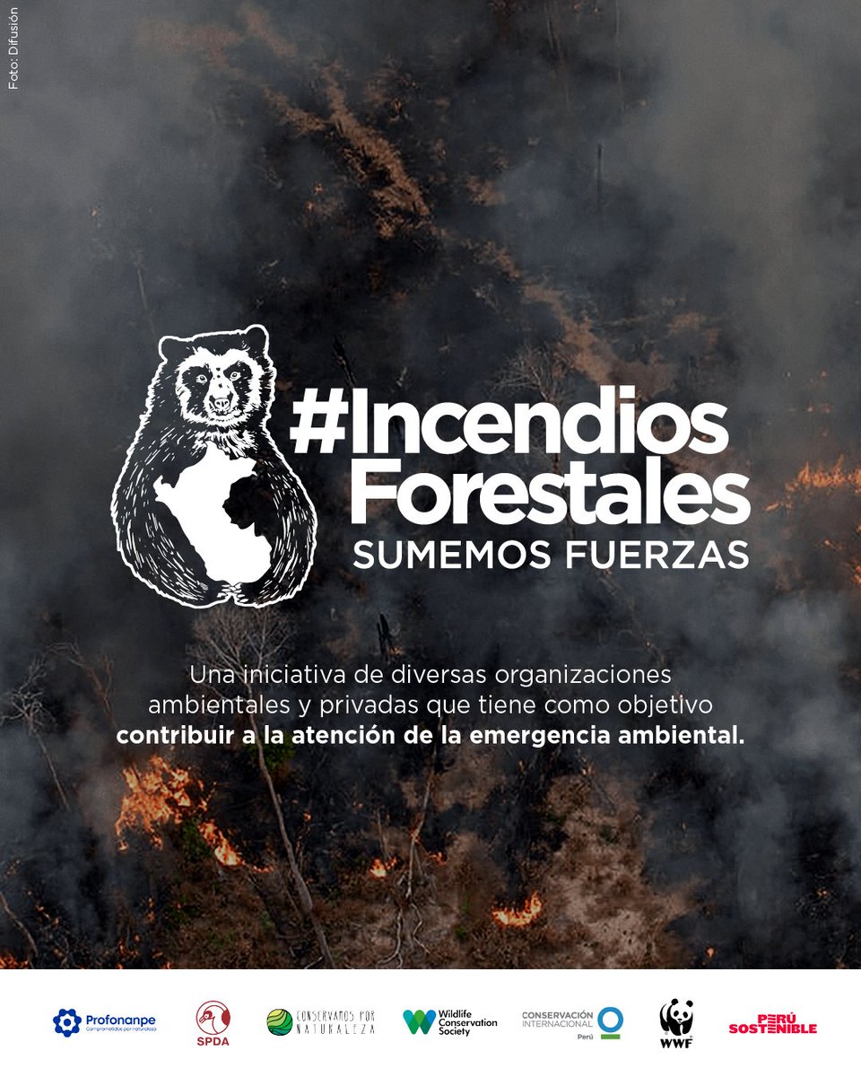 WCS_Peru's tweet photo. #IncendiosForestales: Sumemos fuerzas 💪

🤝Tú también puedes contribuir a la emergencia ambiental a través de la plataforma Perú por Naturaleza y ayudar a que más recursos lleguen donde más se necesitan.

💸 Yapea o Plinea ahora: 961853072
💰Dona aquí: https://t.co/rVsOr88Bkw https://t.co/831LE1OIUo