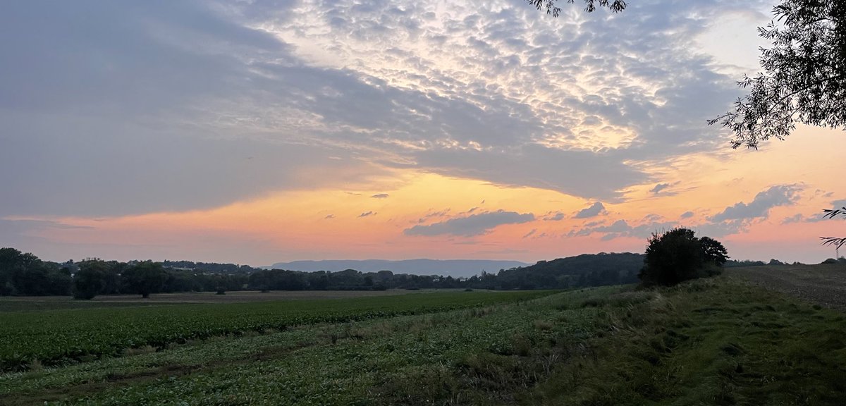 Seit langem nicht gemachte, kurze Tour ✌🏼🚴🏾‍♂️