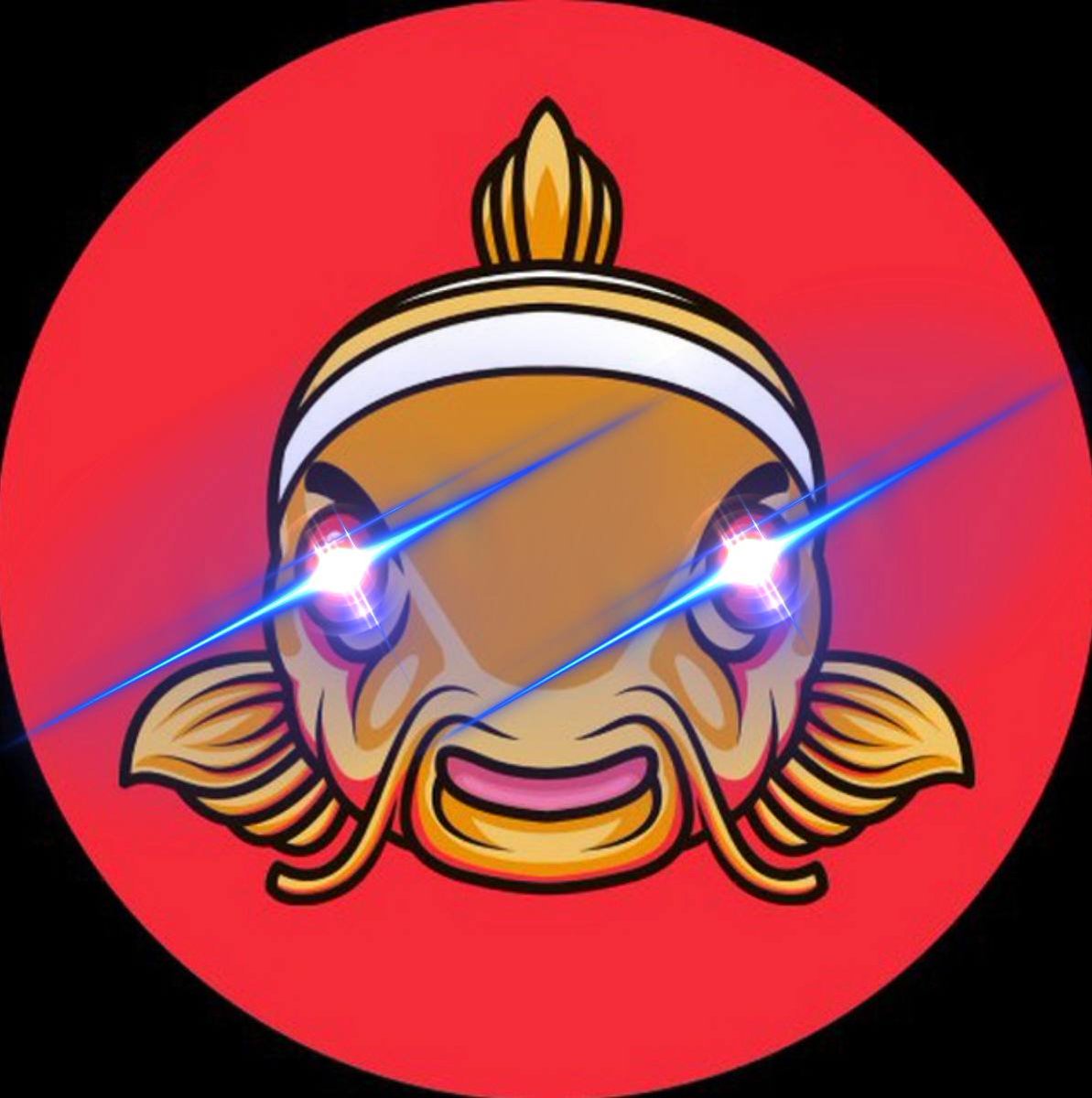 NemoResearch's tweet photo. If you believe $NEMO has already reached all time highs, you are sadly mistaken, my fren.
Believe in the vision of Ryoshi, swim with the Fich, and you will be rewarded more than you imagine.
@ryoshiresearch
#NEMOARMY https://t.co/hPieEgHf85