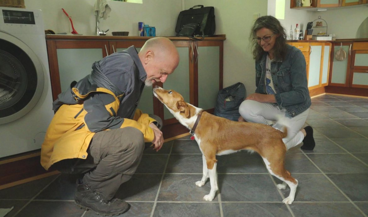 Beklager Nelson, men Gabbi er GOAT  #tueogtonystvklub