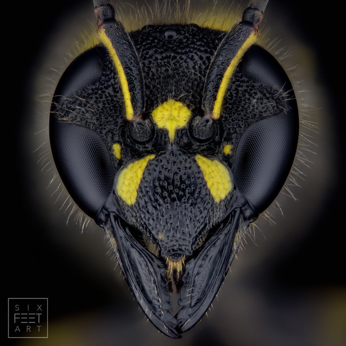 Thorben Danke tweet media