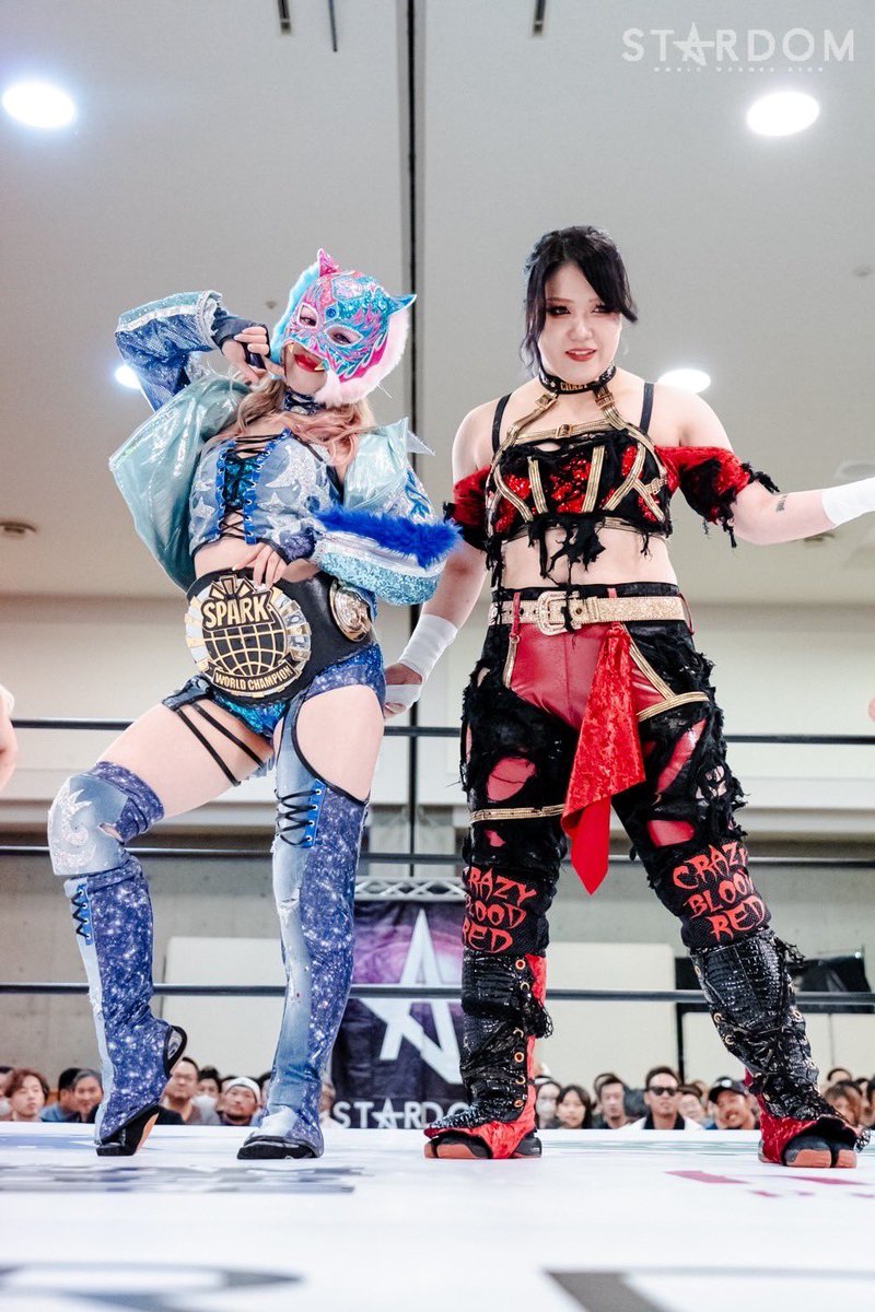 スターダム★kid★実着★かなり希少 スターダム💙スターライト・キッド🐯🤍 on X: 