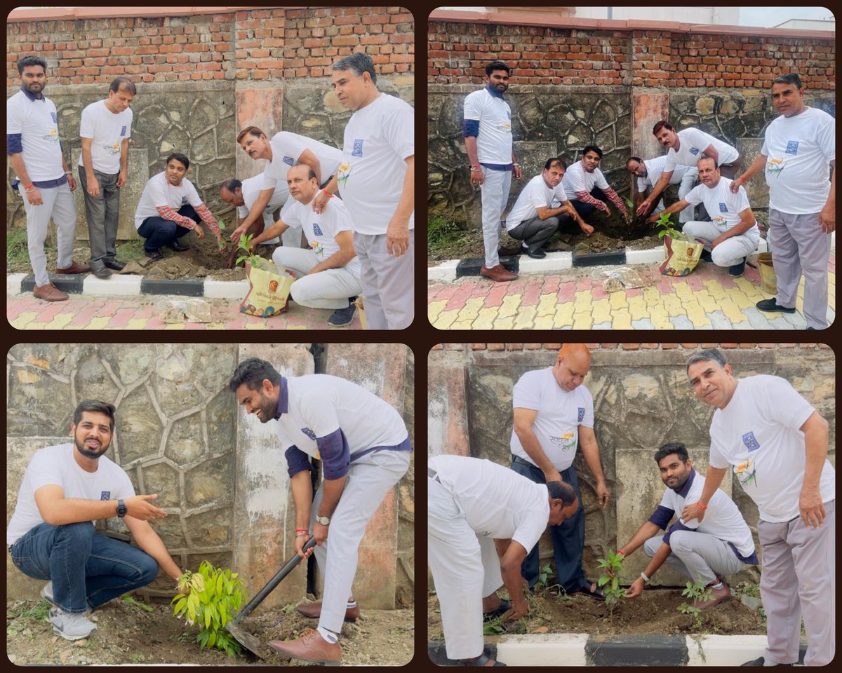 ccibhilwara7's tweet photo. "Ek Ped Maa Ke Nam" Plantation drive for beautification of office space at New Office Building Premise Bhilwara. #SwachhtaHiSeva2024 #SwachhBharat @cotcorp_ho @TexMinIndia https://t.co/RxOzpCoFpi