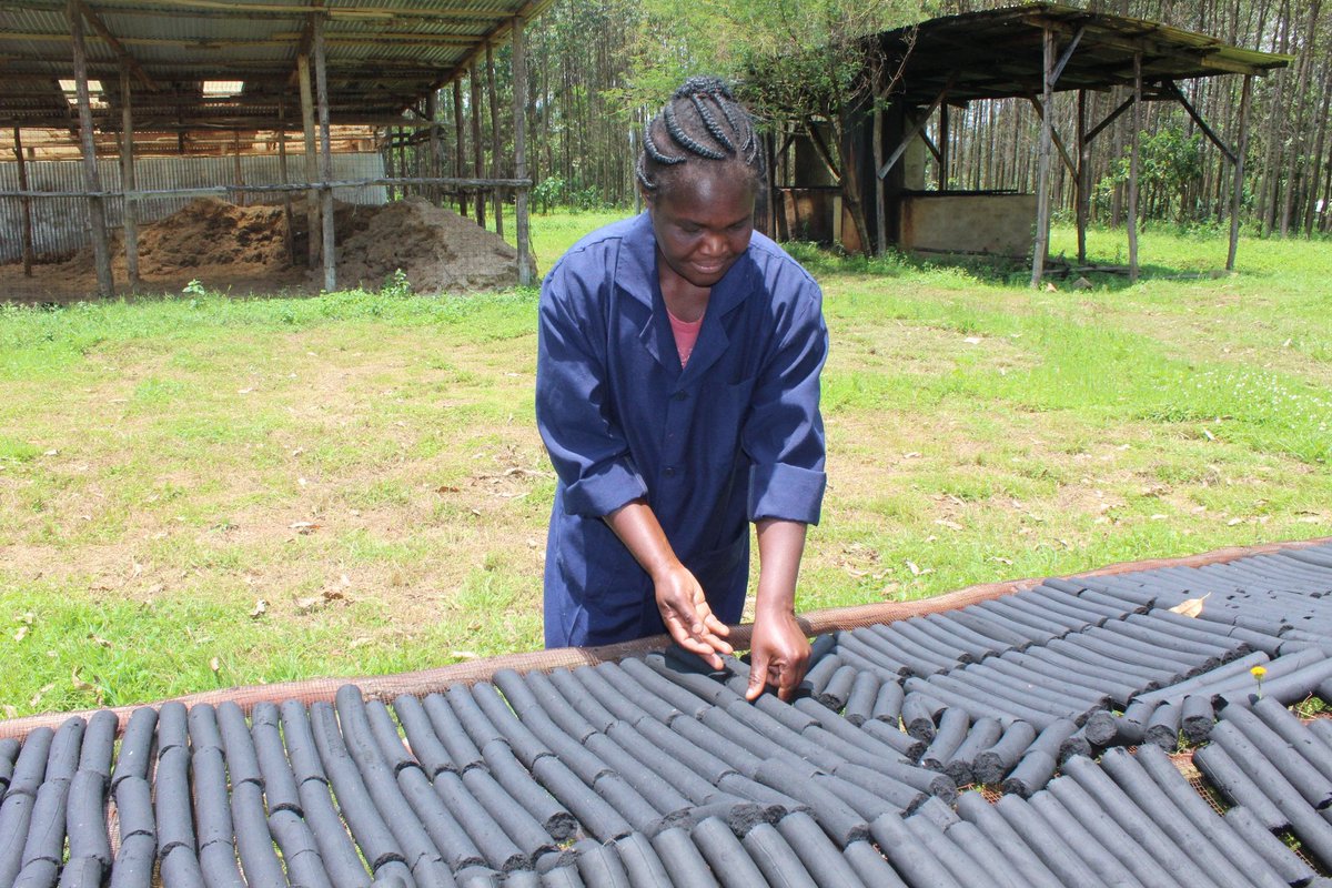 eco2libriumllc's tweet image. #Briquettes offer a sustainable energy solution with big benefits:
 - Reduce deforestation 📷
 - Lower carbon emissions 📷
 - Affordable, long-lasting fuel 📷
 - Made from agricultural waste 📷
Make the switch to eco-friendly energy and power a greener future today!
