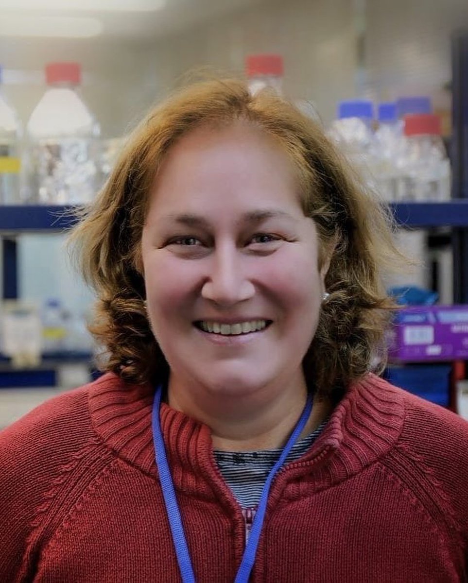 FITORES_SEF tweet media