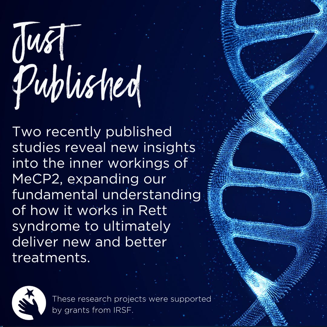 We believe that getting to the bottom of how MeCP2 works is a crucial step to finding new treatments to fix it. Two recently published studies funded by IRSF do just that, revealing new insight into the inner workings of MeCP2: 
- nature.com/articles/s4159…
-nature.com/articles/s4159…
