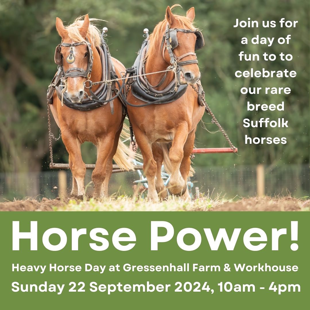 Redwings (@redwingshs) on Twitter photo Come and see us at <a href="/GressenhallFW/">Gressenhall Farm and Workhouse</a> this Sunday!
We're excited to be trotting along to join in all the fun at Gressenhall's Horse Power event on Sunday 22nd September!
Find out more details about the event here - museums.norfolk.gov.uk/article/61331/… Come and see us at <a href="/GressenhallFW/">Gressenhall Farm and Workhouse</a> this Sunday!
We're excited to be trotting along to join in all the fun at Gressenhall's Horse Power event on Sunday 22nd September!
Find out more details about the event here - museums.norfolk.gov.uk/article/61331/…