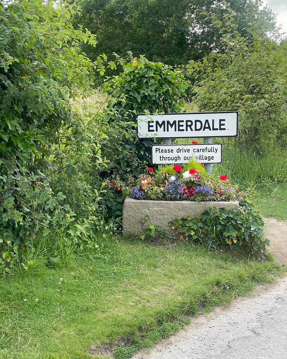 David_dcarpenter tweet media