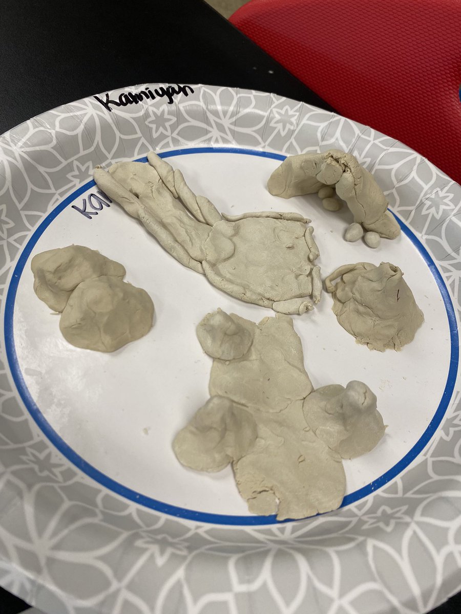 Anna Settle tweet media