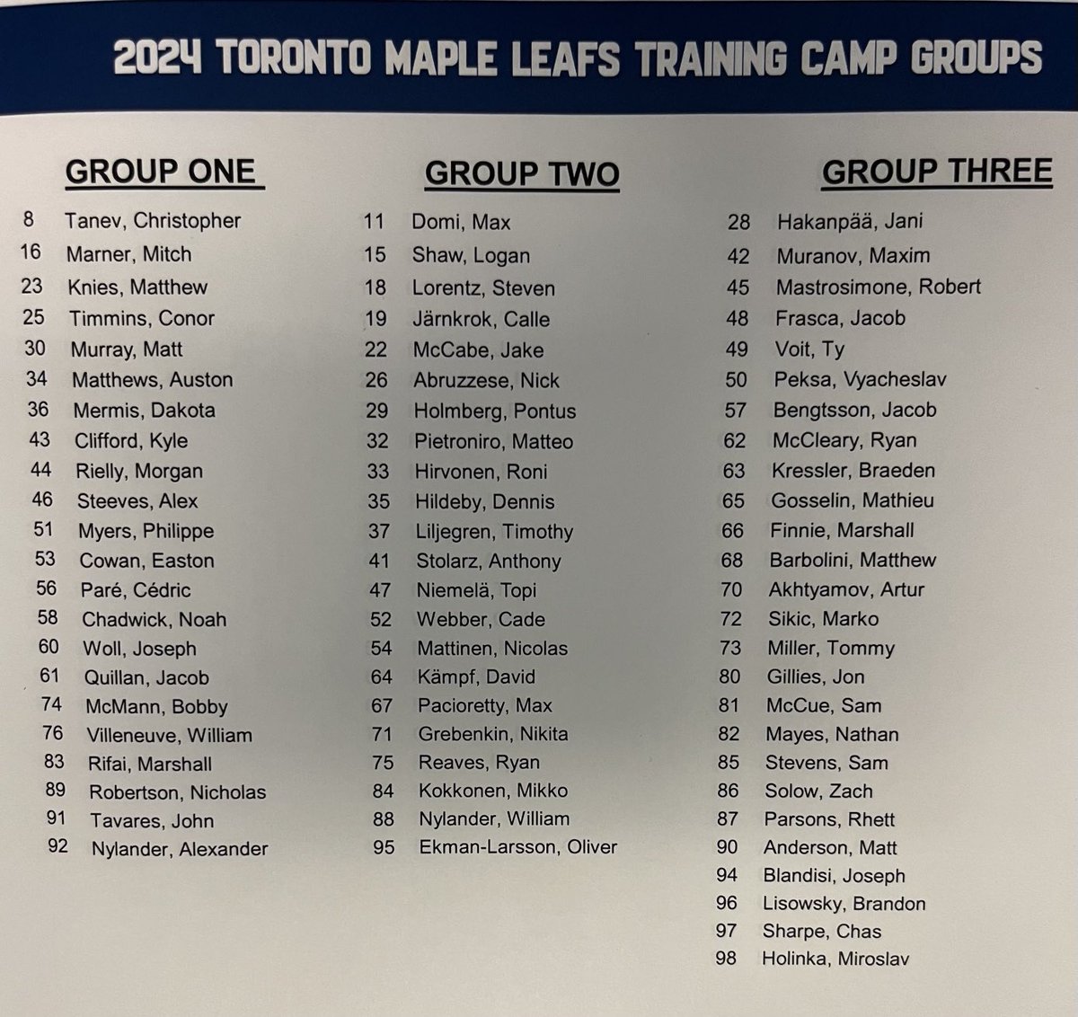 Maple Leafs training camp groups