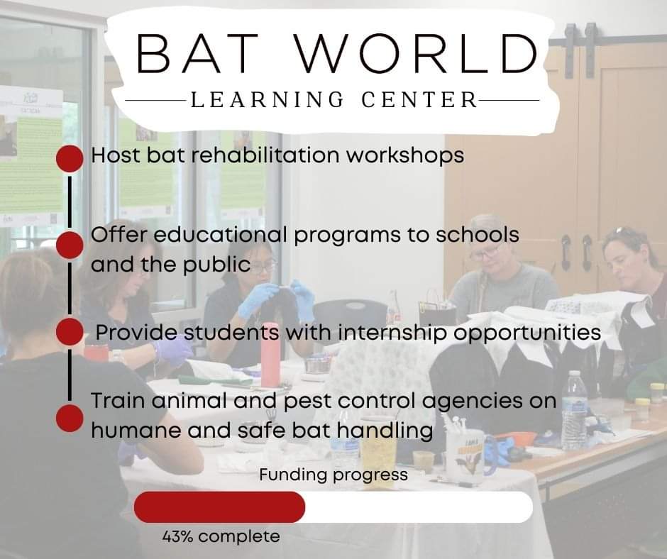batworld's tweet image. Today's the day! North Texas Giving Day is in full swing, and we need all the help we can get to make the Bat World Learning Center a reality.

Please follow the link below to donate, and please share! Thank you so much for any help you can lend. &amp;lt;3

northtexasgivingday.org/organization/B…