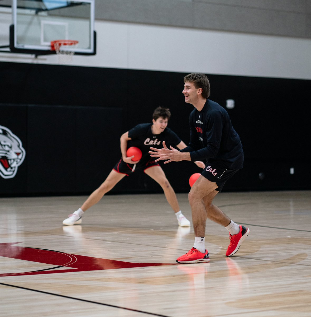 Davidson Basketball tweet media