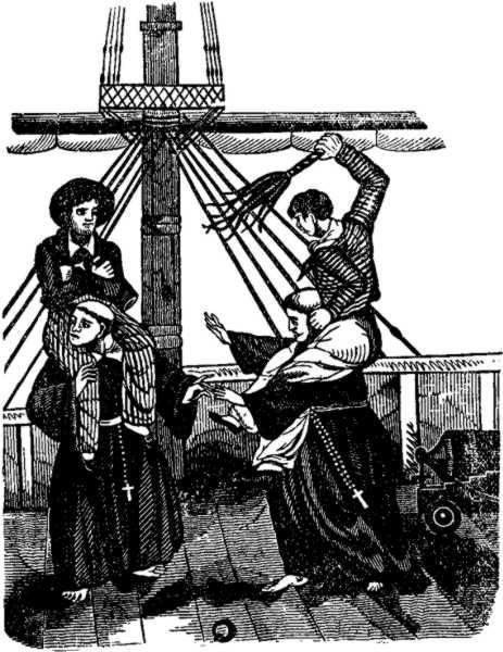 The Public Domain Review tweet media