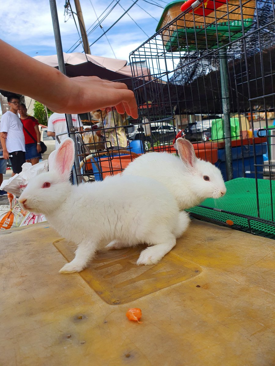 Wukui Mimug tweet media