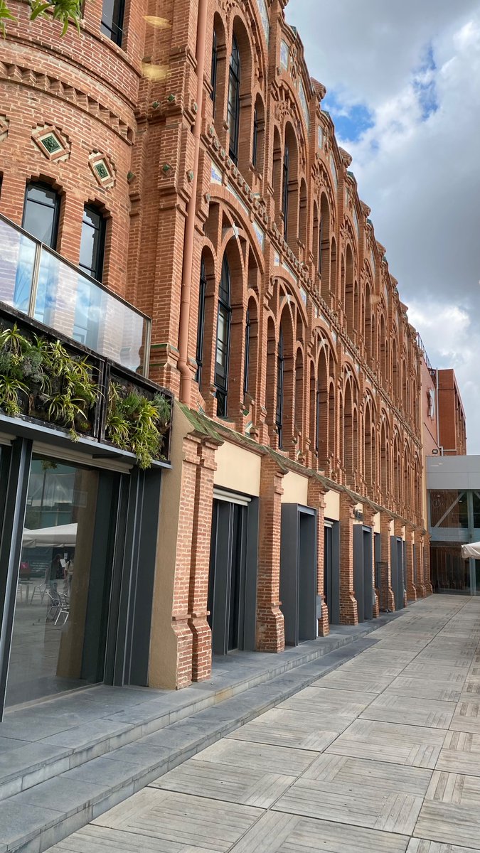 Anna Sayol Altarriba tweet media