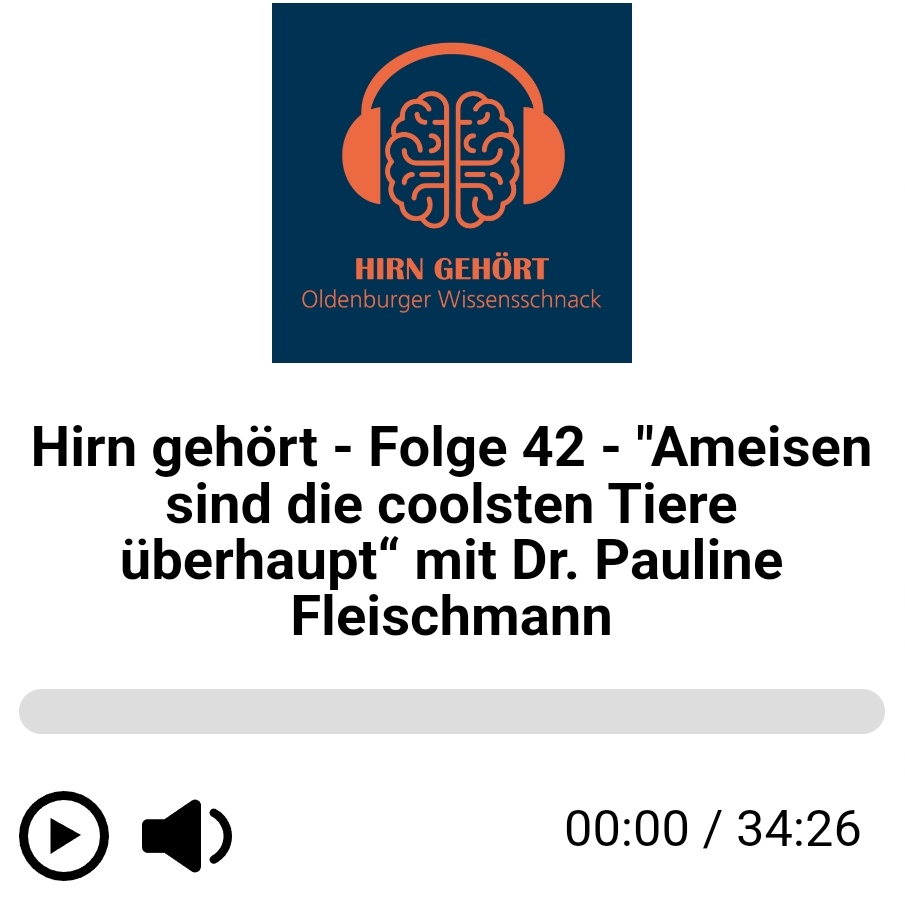 Pauline N. Fleischmann (@cataglyfilosofi) on Twitter photo Jetzt online: In der neuen Folge des Podcasts <a href="/HirnGehoert/">Hirn Gehört - Oldenburger Wissensschnack</a> 🧠🎧 schnacke ich mit Bianca Brüggen und Jens-Steffen Scherer über Ameisen 🐜 und ihre Navigationskünste 🧭, Philosophie🏛 und Feldforschung🌞 Hört mal rein ↘️hirnvomhahn.de/podcast/↙️ Jetzt online: In der neuen Folge des Podcasts <a href="/HirnGehoert/">Hirn Gehört - Oldenburger Wissensschnack</a> 🧠🎧 schnacke ich mit Bianca Brüggen und Jens-Steffen Scherer über Ameisen 🐜 und ihre Navigationskünste 🧭, Philosophie🏛 und Feldforschung🌞 Hört mal rein ↘️hirnvomhahn.de/podcast/↙️