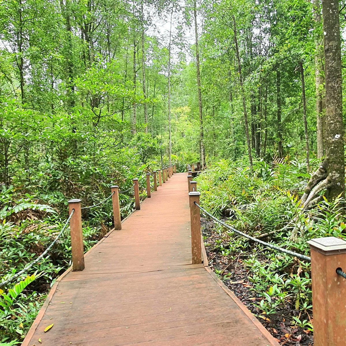 Wukui Mimug tweet media